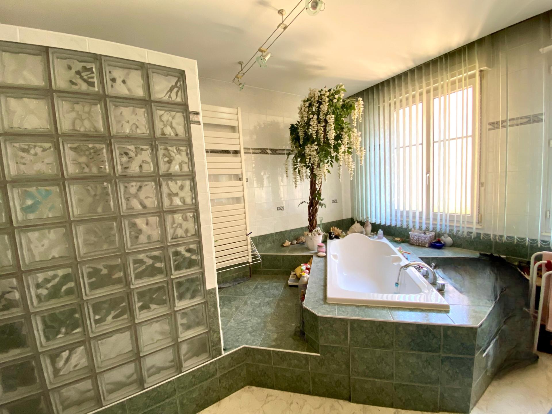 Photo 9 de l'annonce.