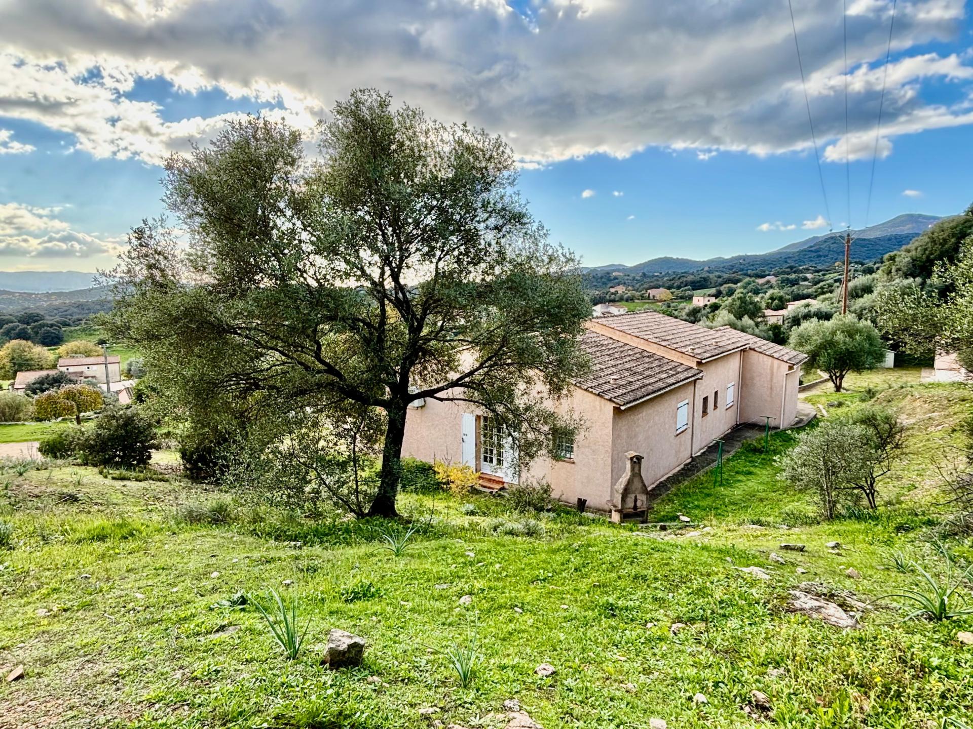 Photo 10 de l'annonce.