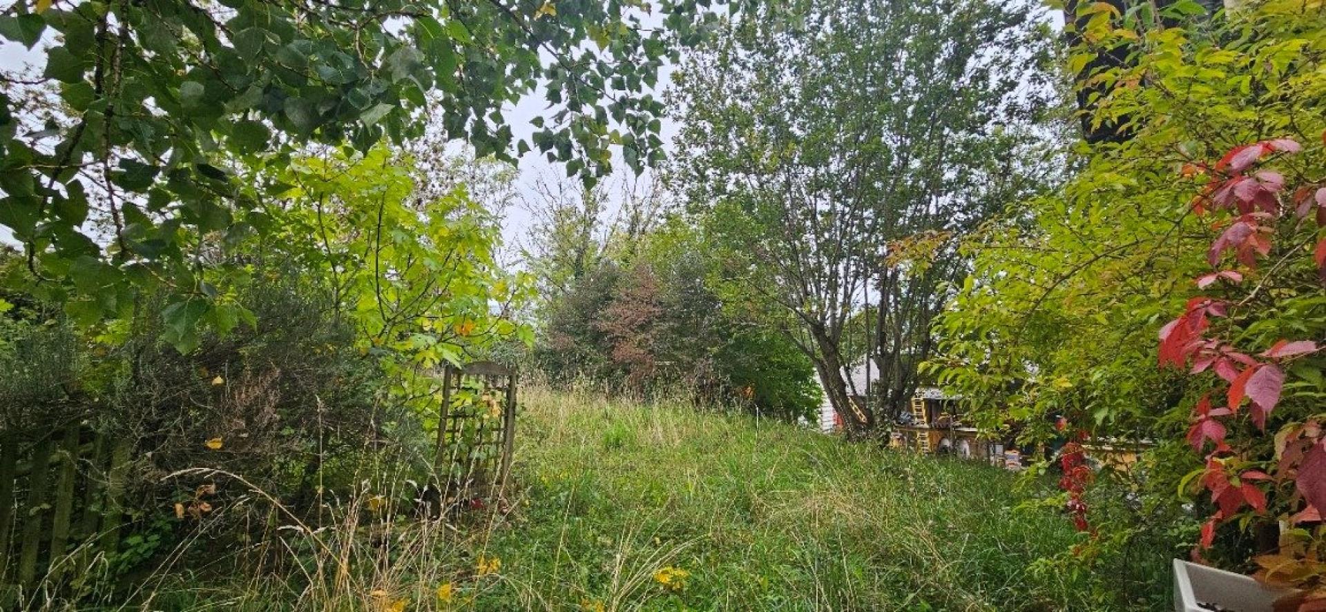 Photo 2 de l'annonce.