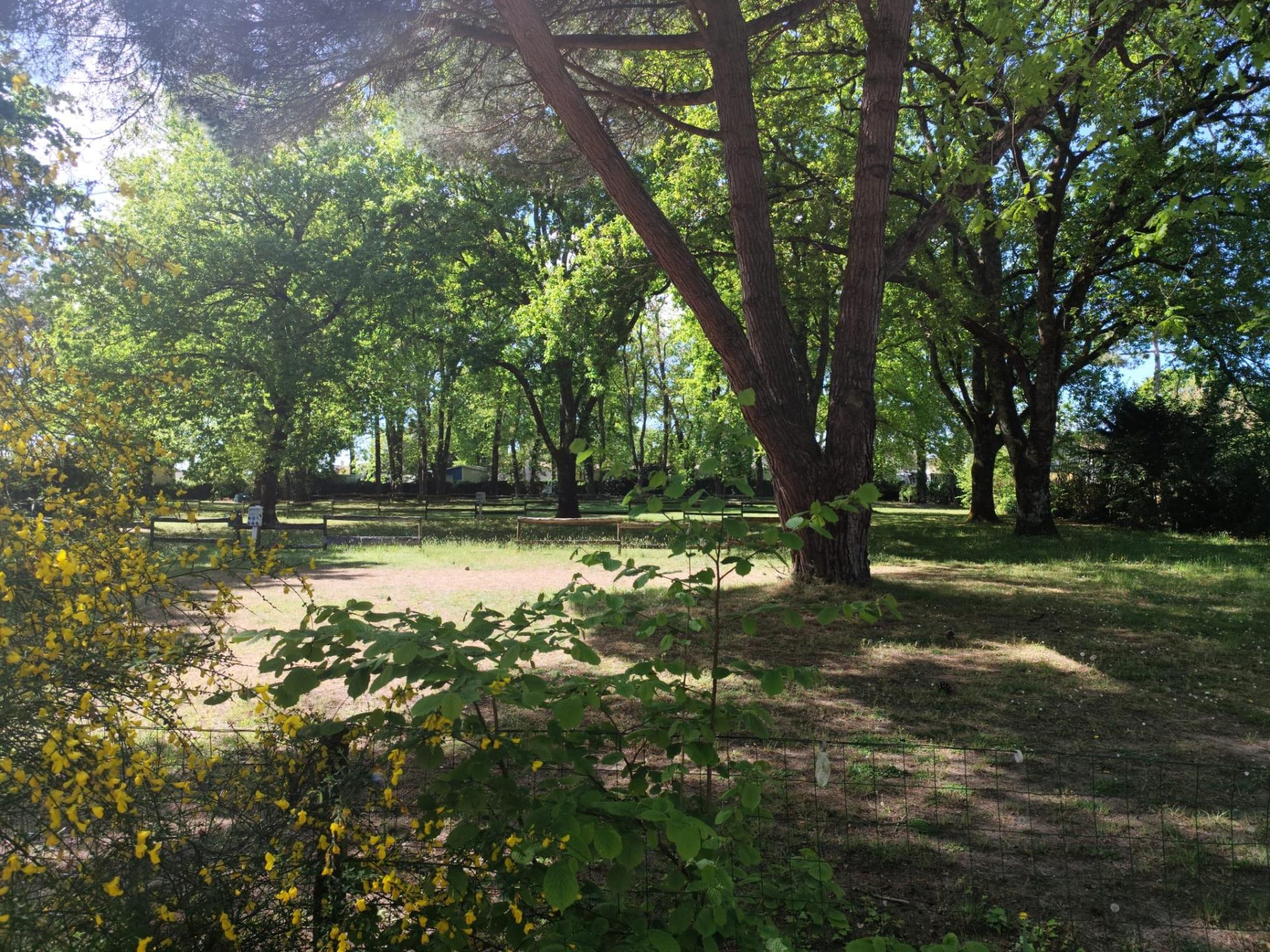 Photo 6 de l'annonce.