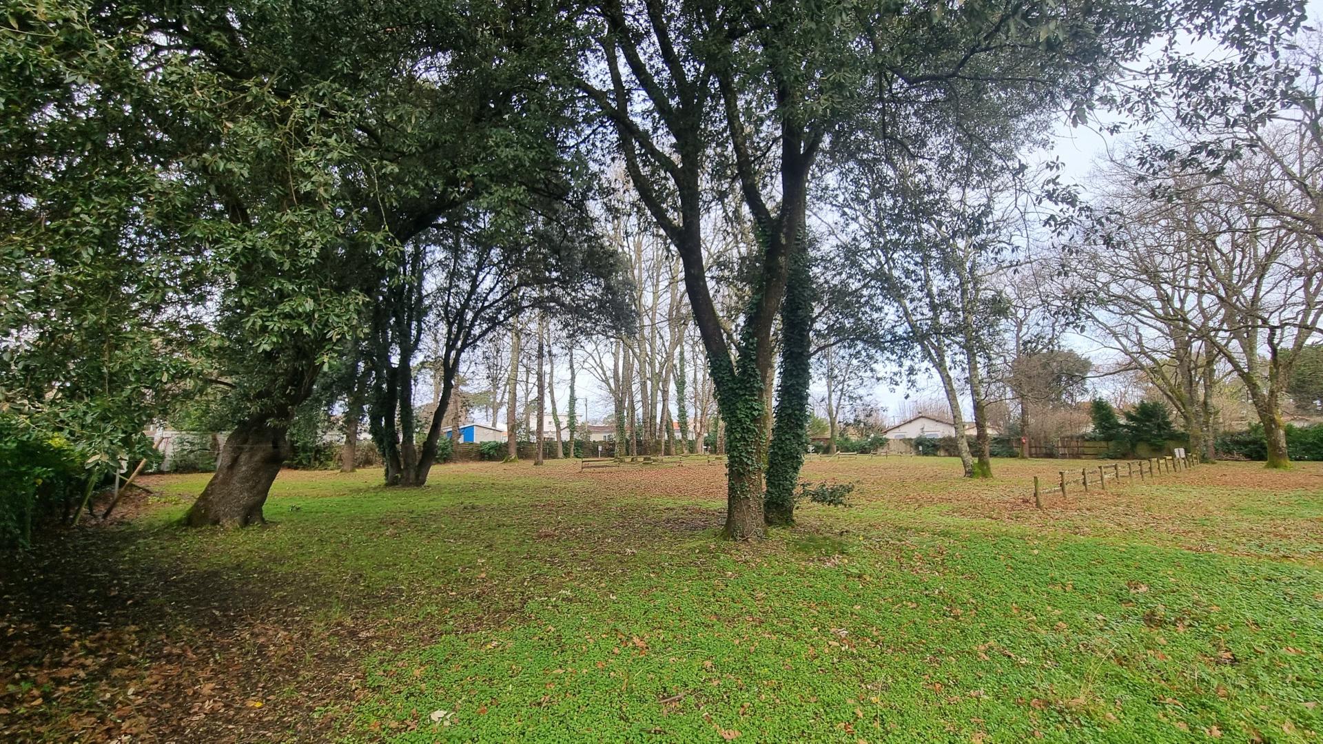 Photo 8 de l'annonce.