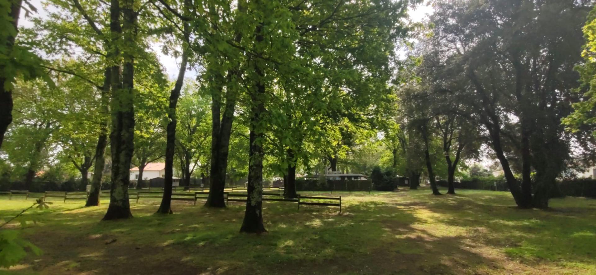 Photo 4 de l'annonce.