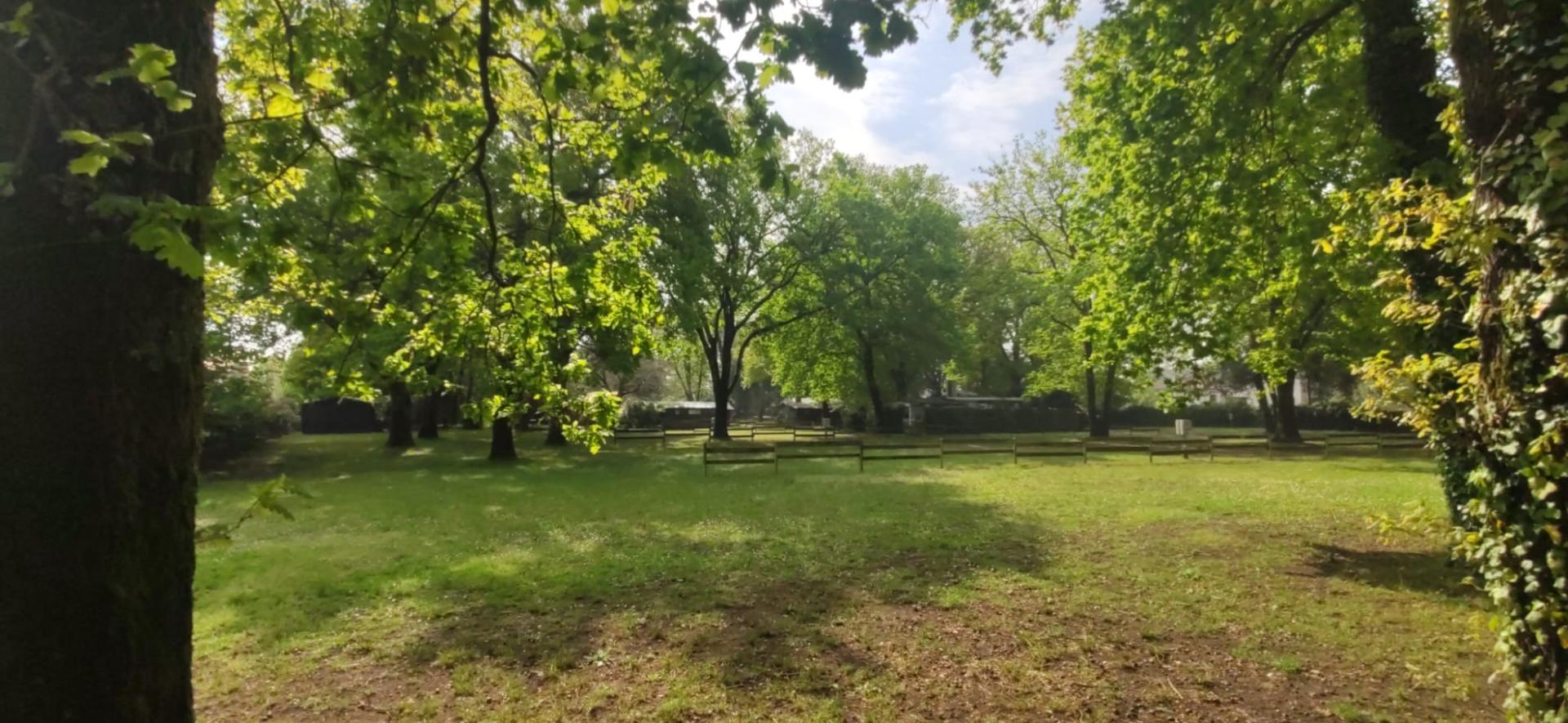 Photo 3 de l'annonce.