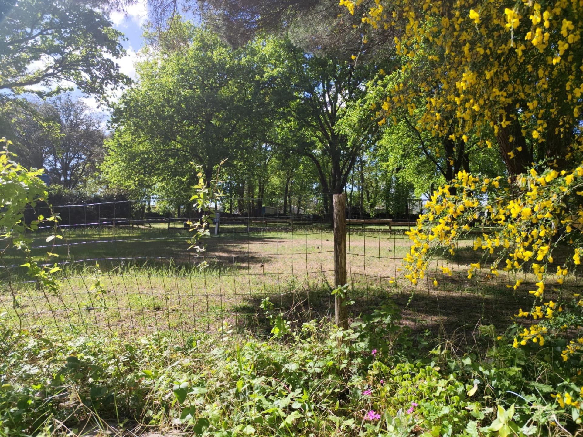 Photo 14 de l'annonce.