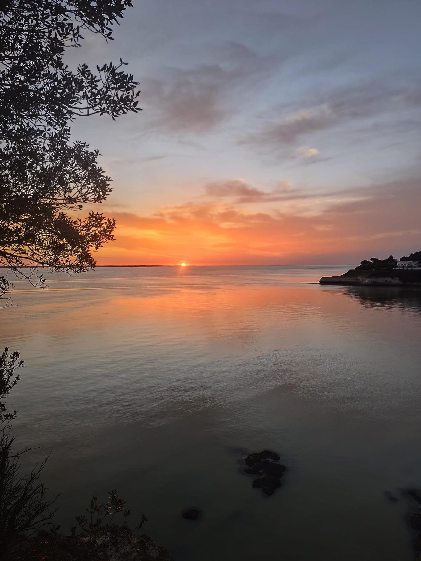 Photo 5 de l'annonce.