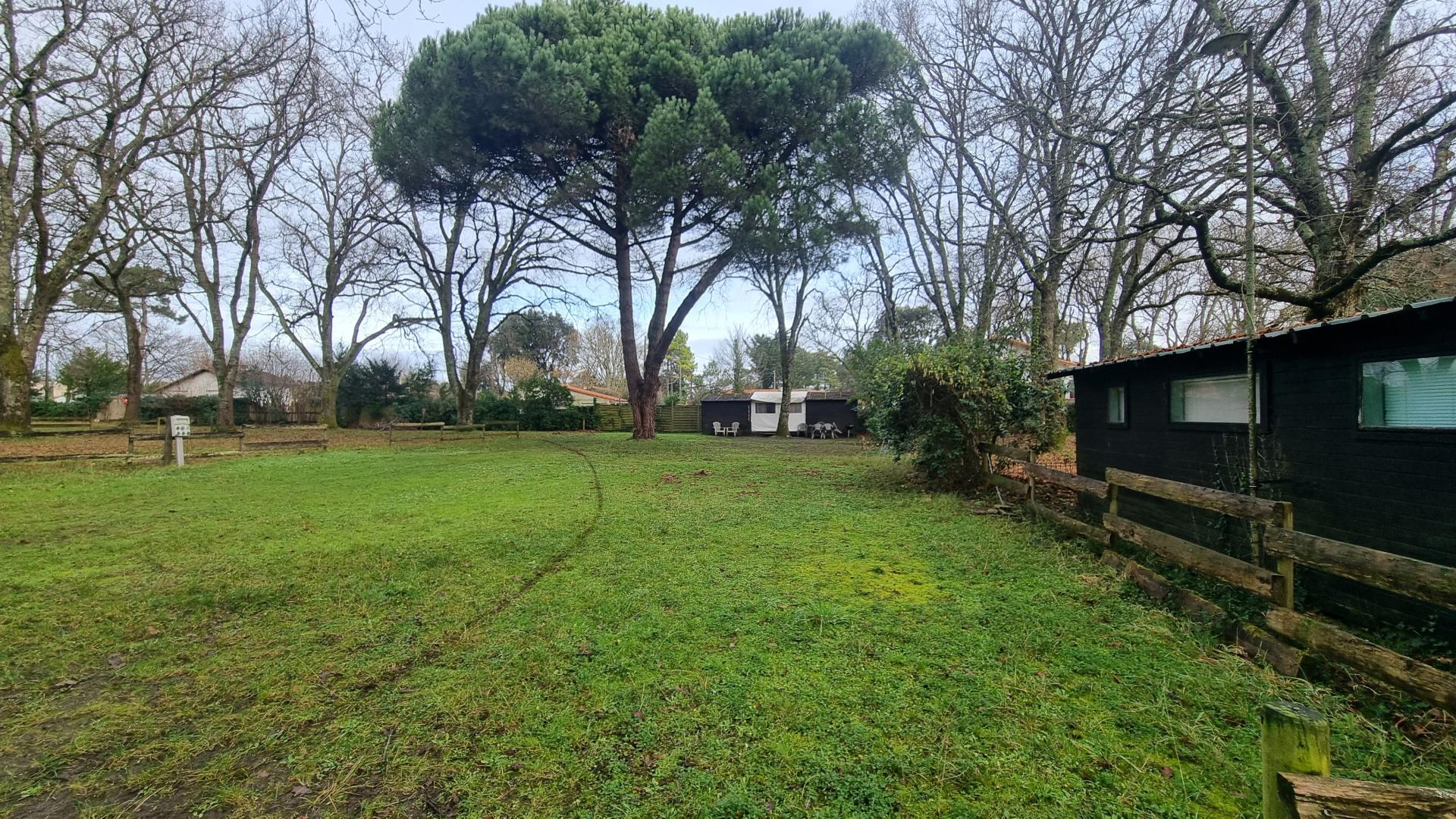 Photo 2 de l'annonce.