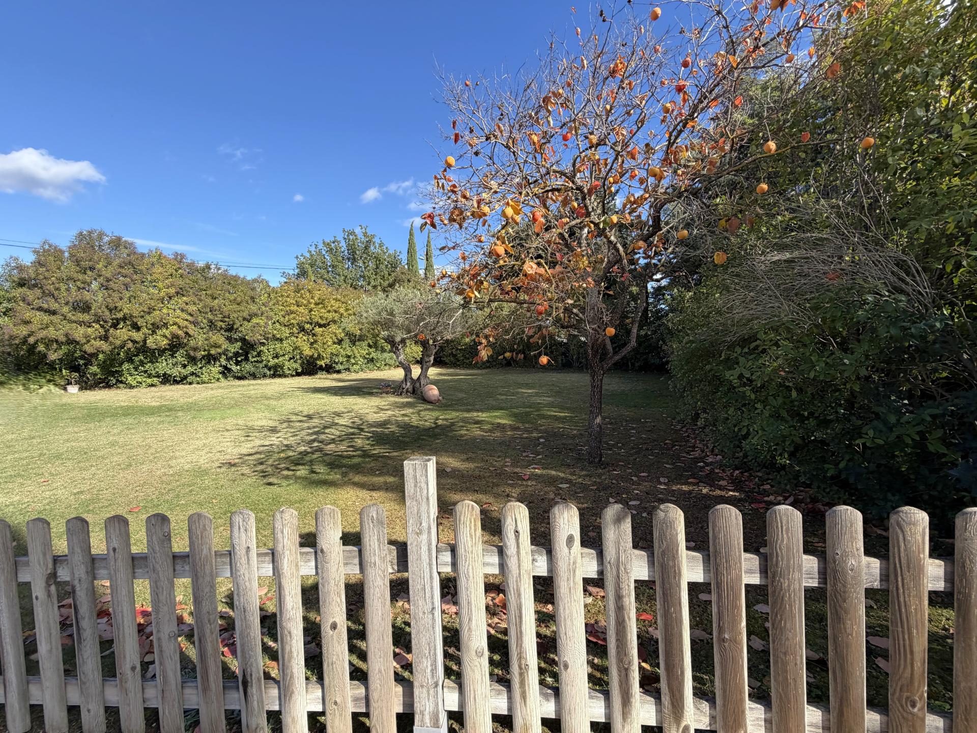 Photo 4 de l'annonce.