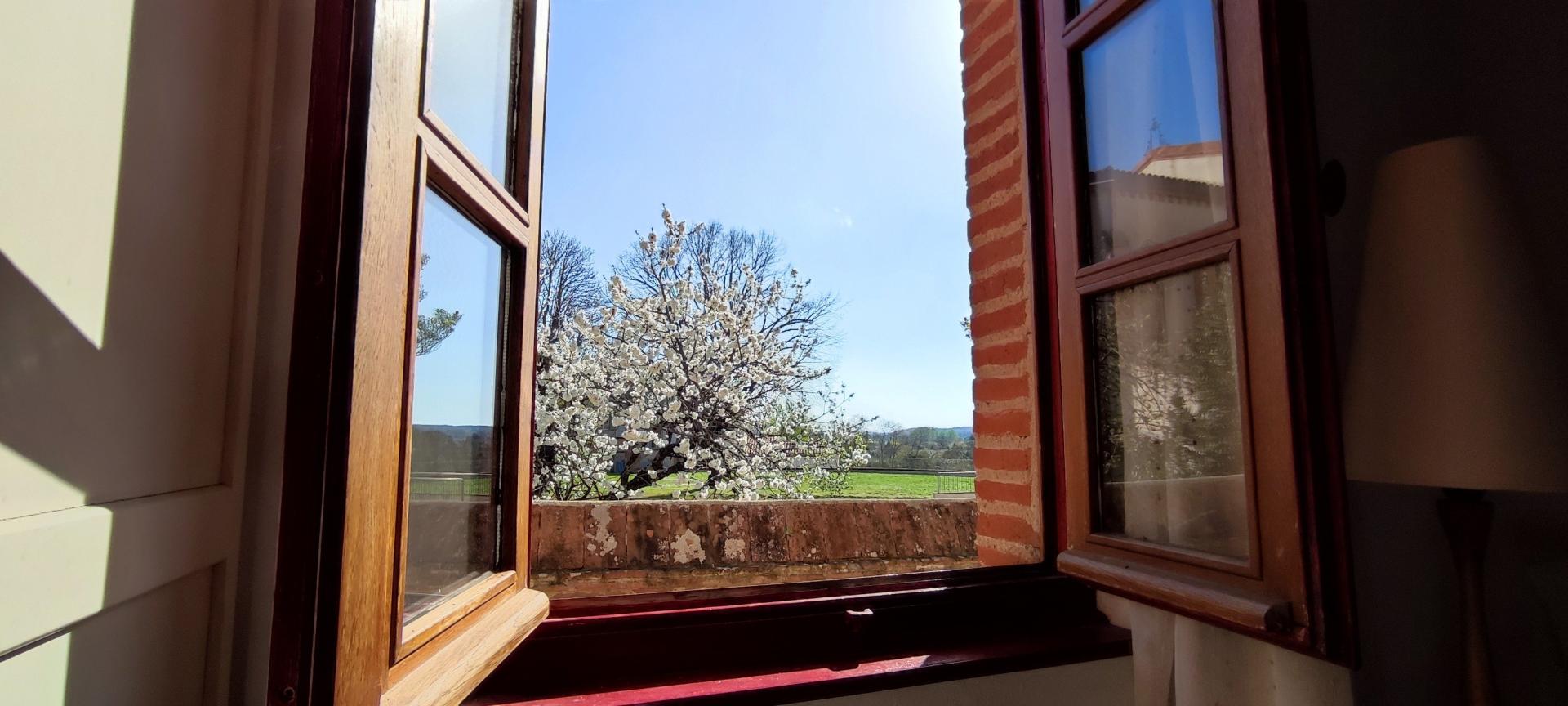 Photo 13 de l'annonce.