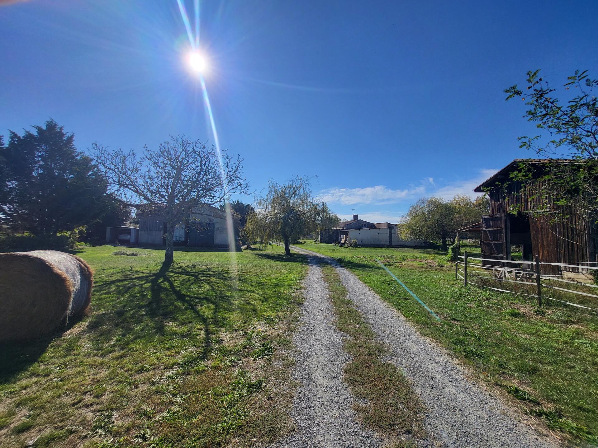 Photo 4 de l'annonce.