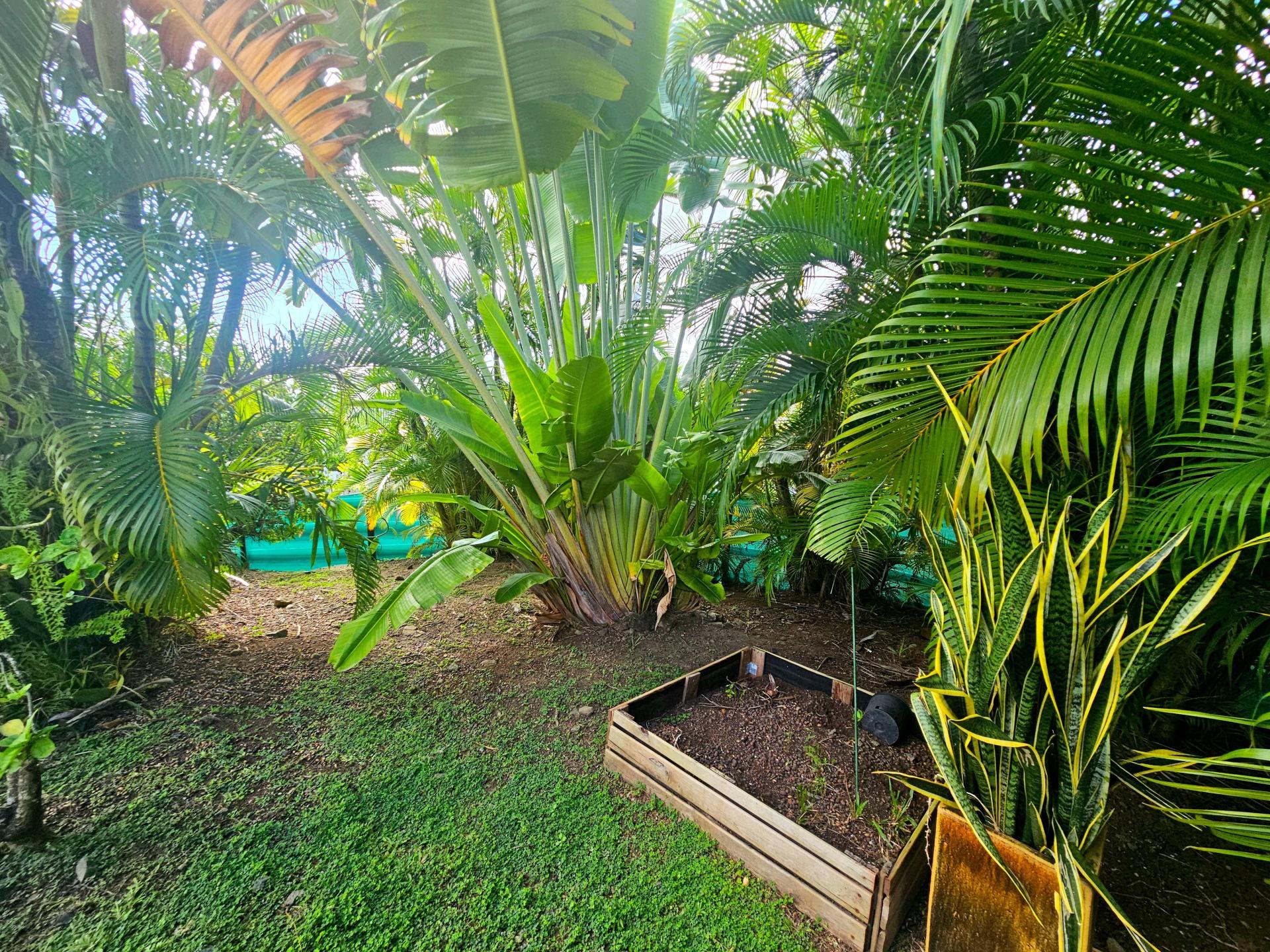 Photo 14 of the listing.