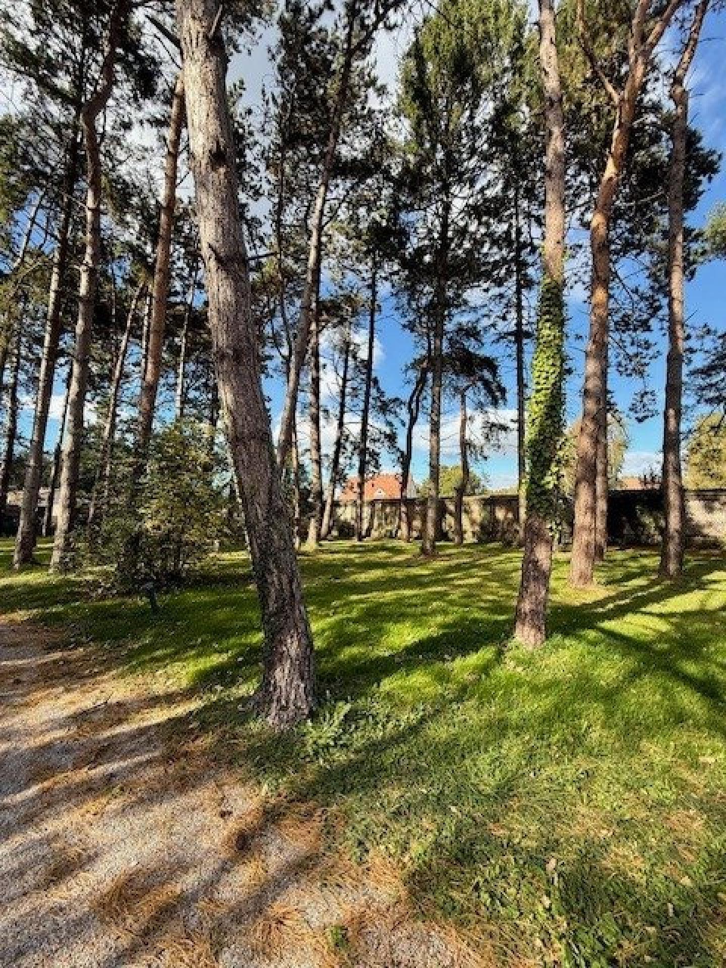 Photo 16 de l'annonce.