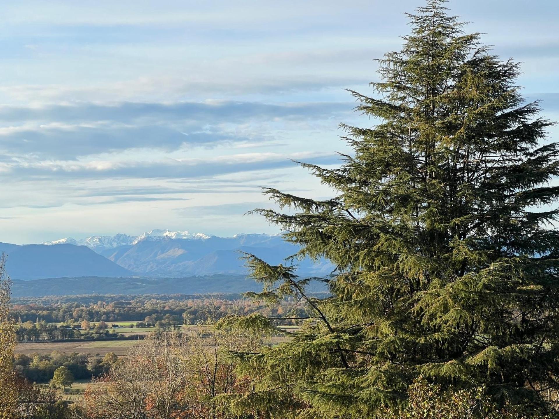 Photo 20 of the listing.