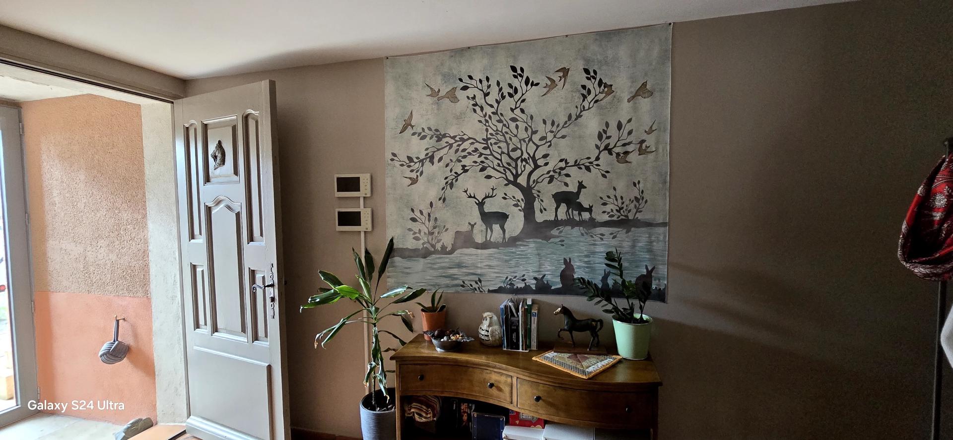 Photo 13 de l'annonce.