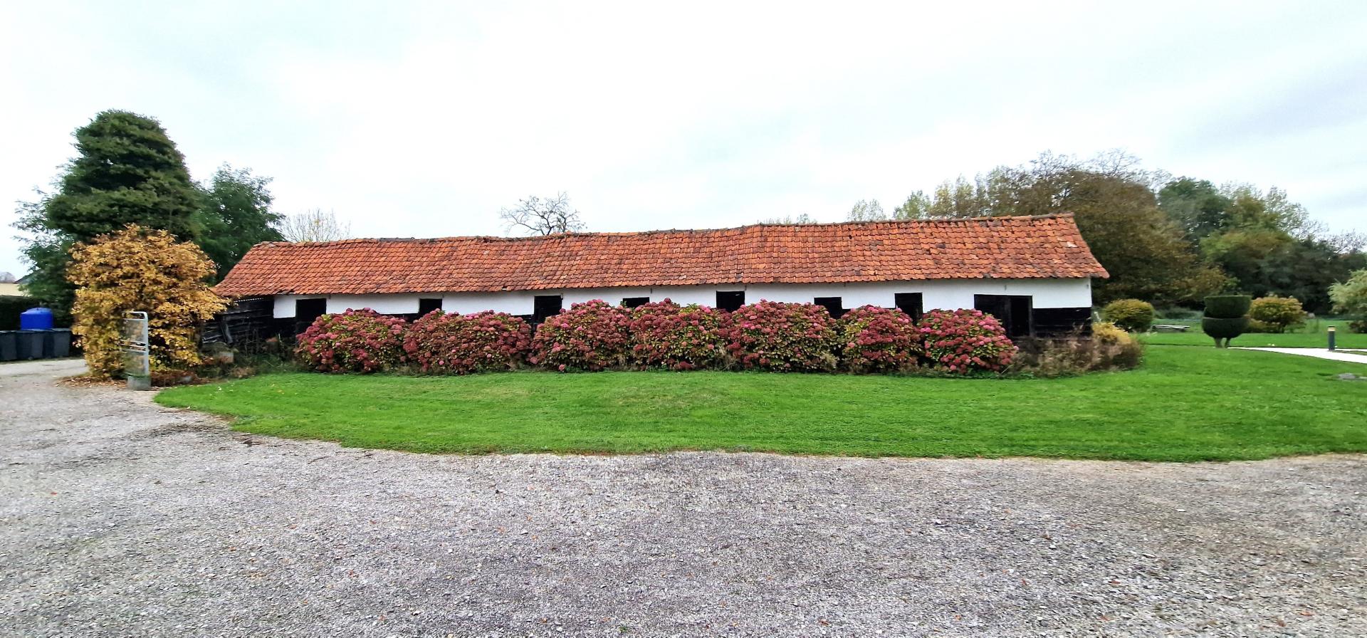 Photo 5 de l'annonce.