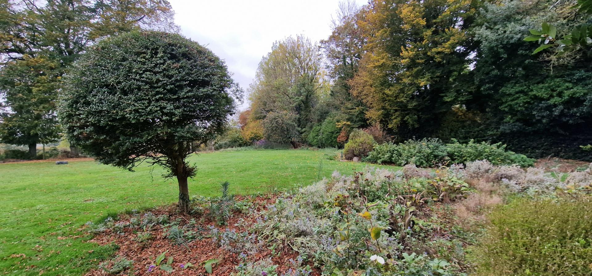 Photo 6 de l'annonce.