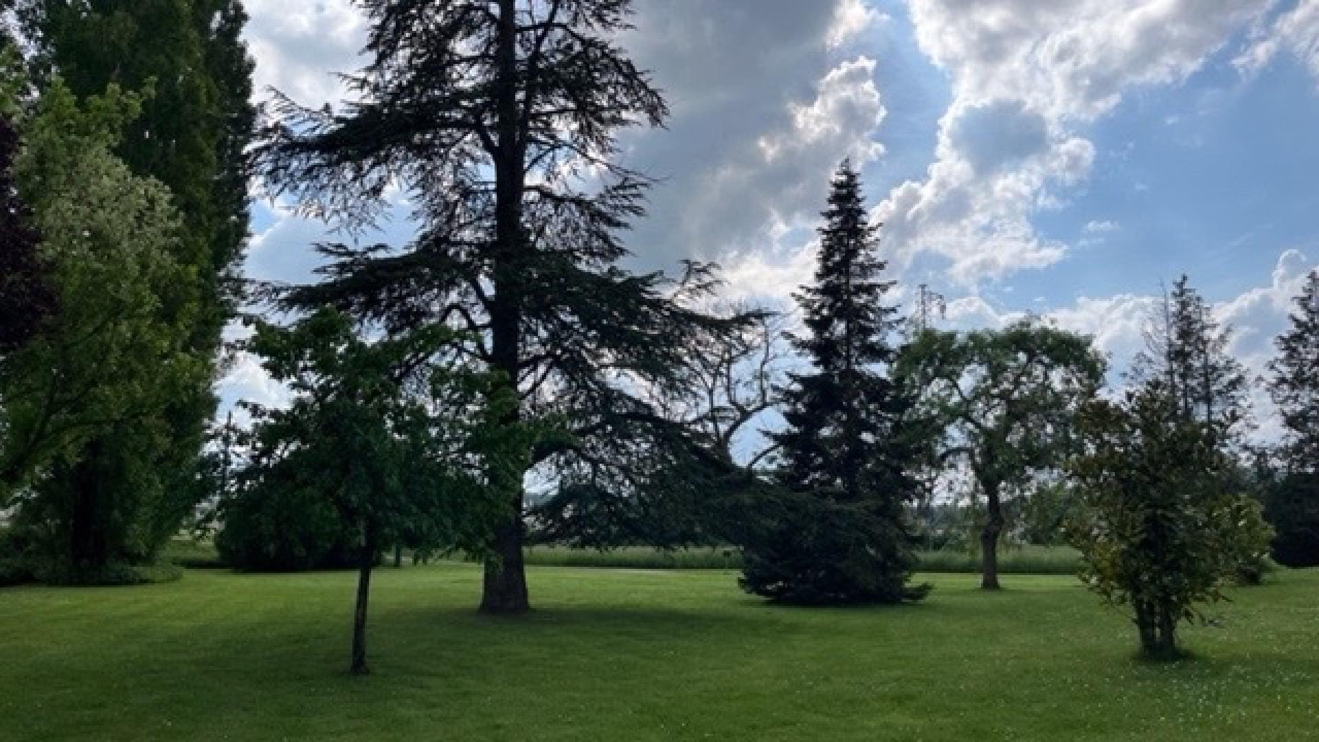 Foto 13 del anuncio.