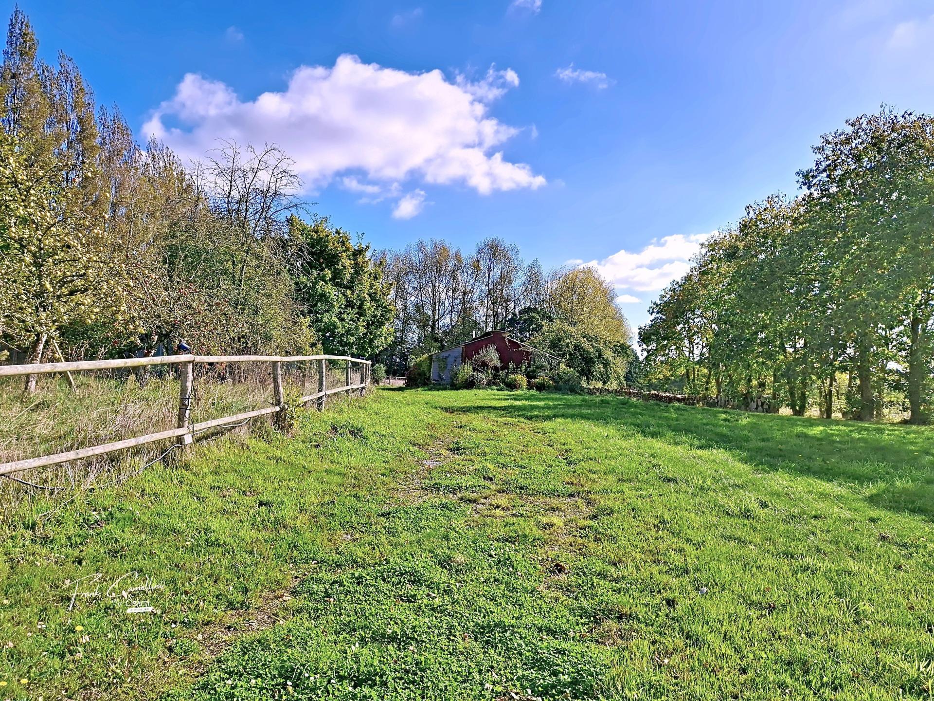 Photo 14 de l'annonce.