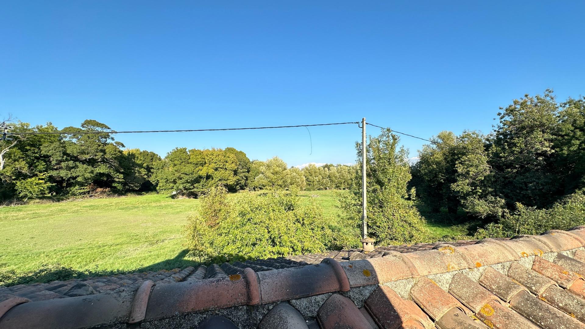 Photo 12 de l'annonce.