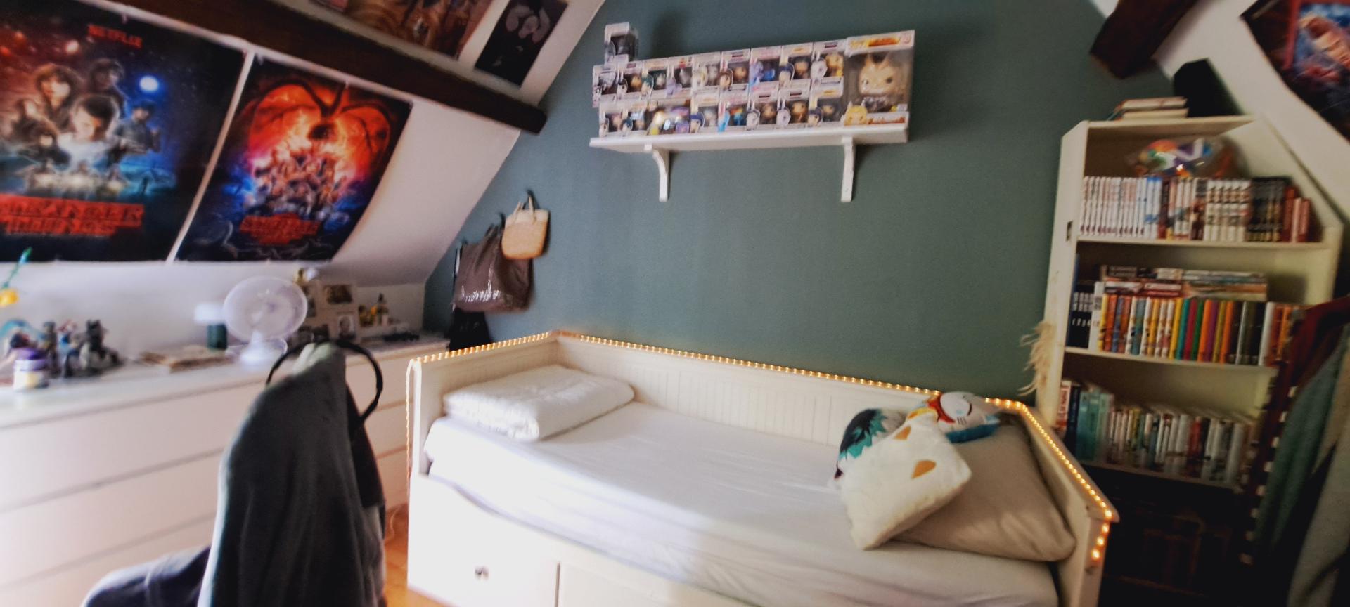 Photo 8 de l'annonce.