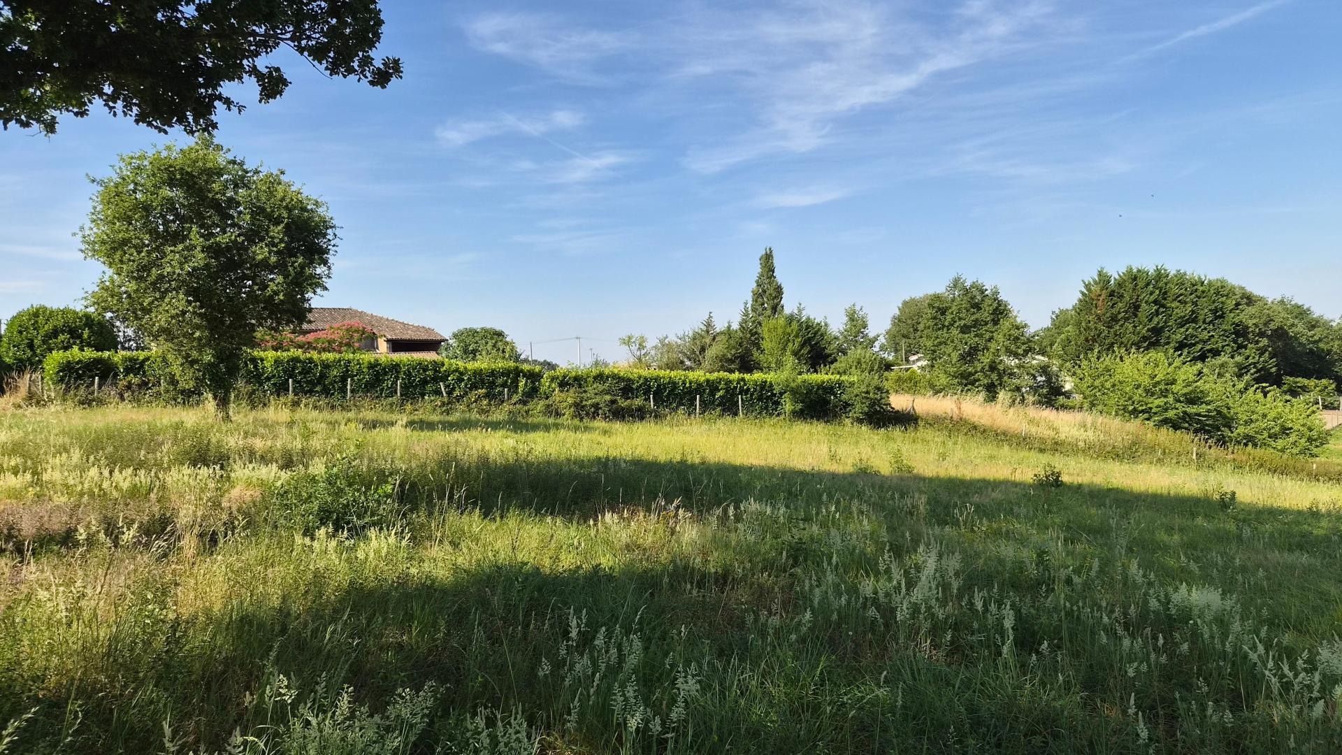 Photo-terrain