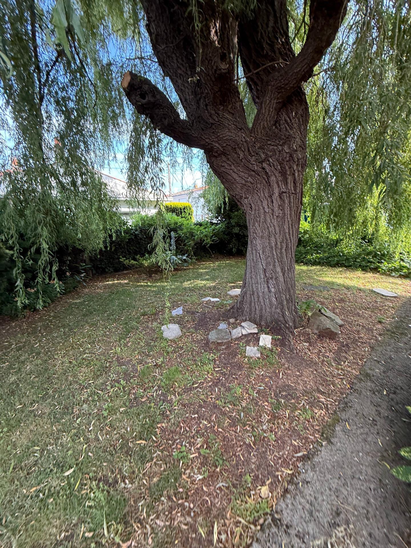 Photo 5 de l'annonce.