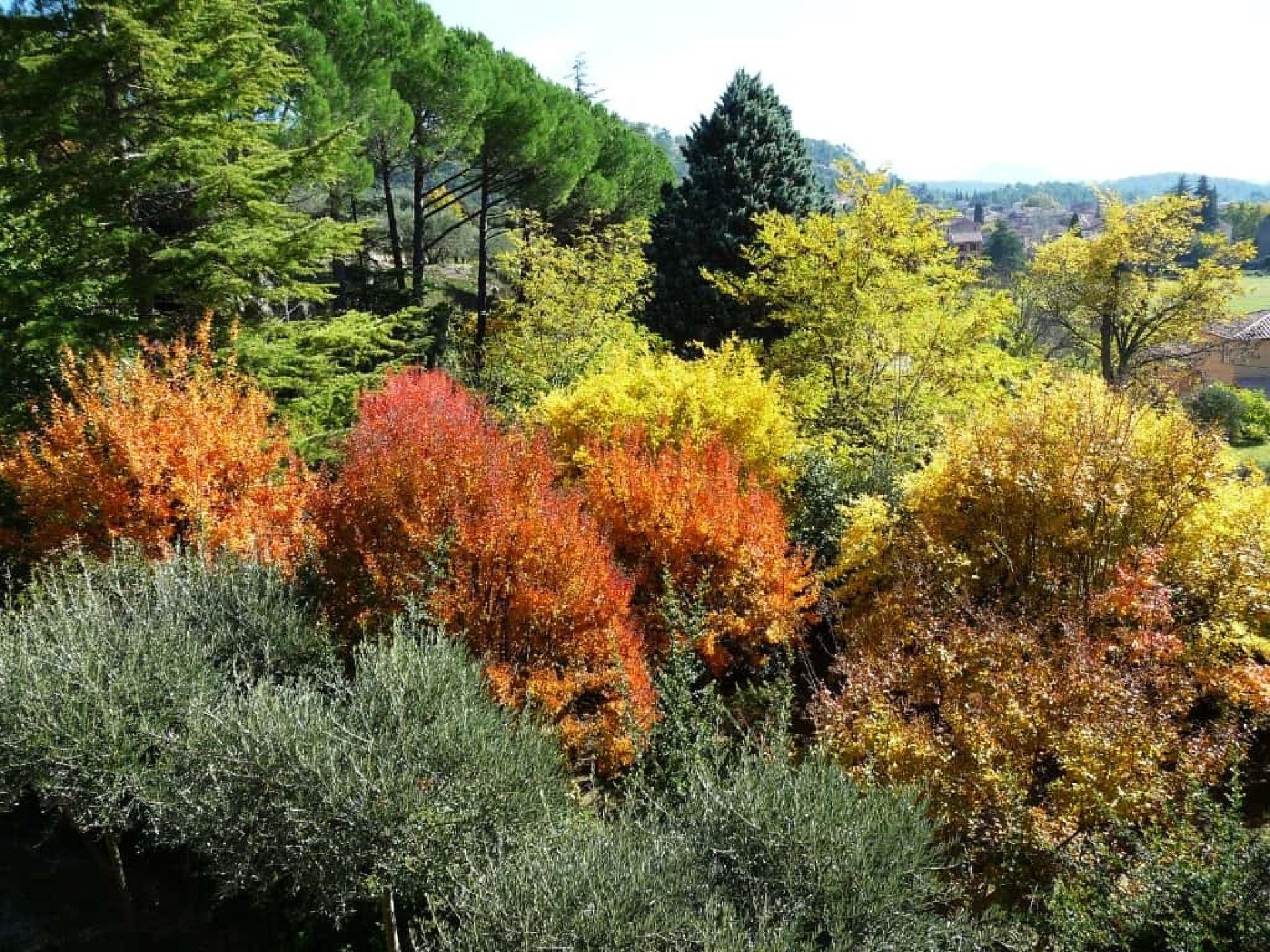 Photo 4 de l'annonce.