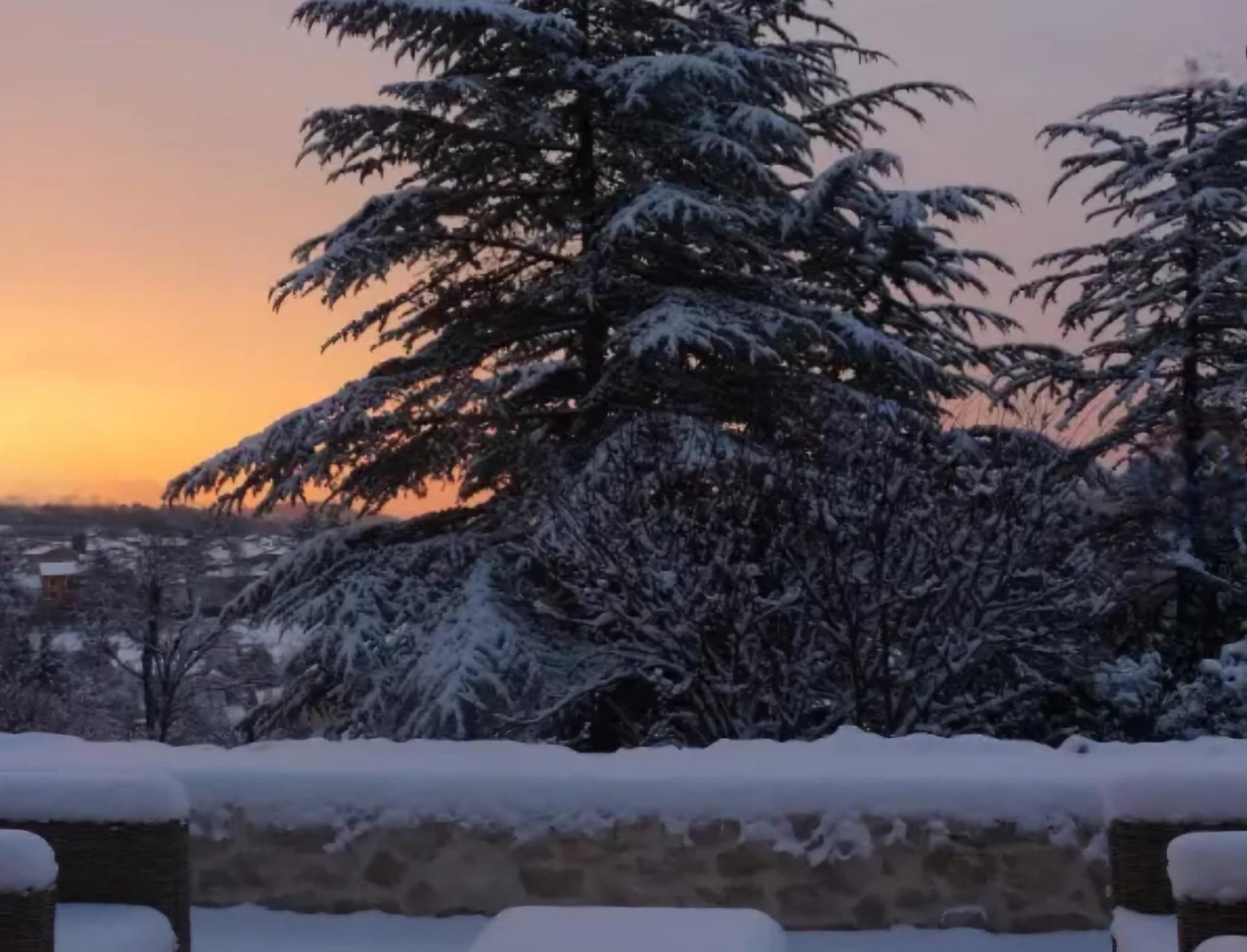 Photo 8 de l'annonce.