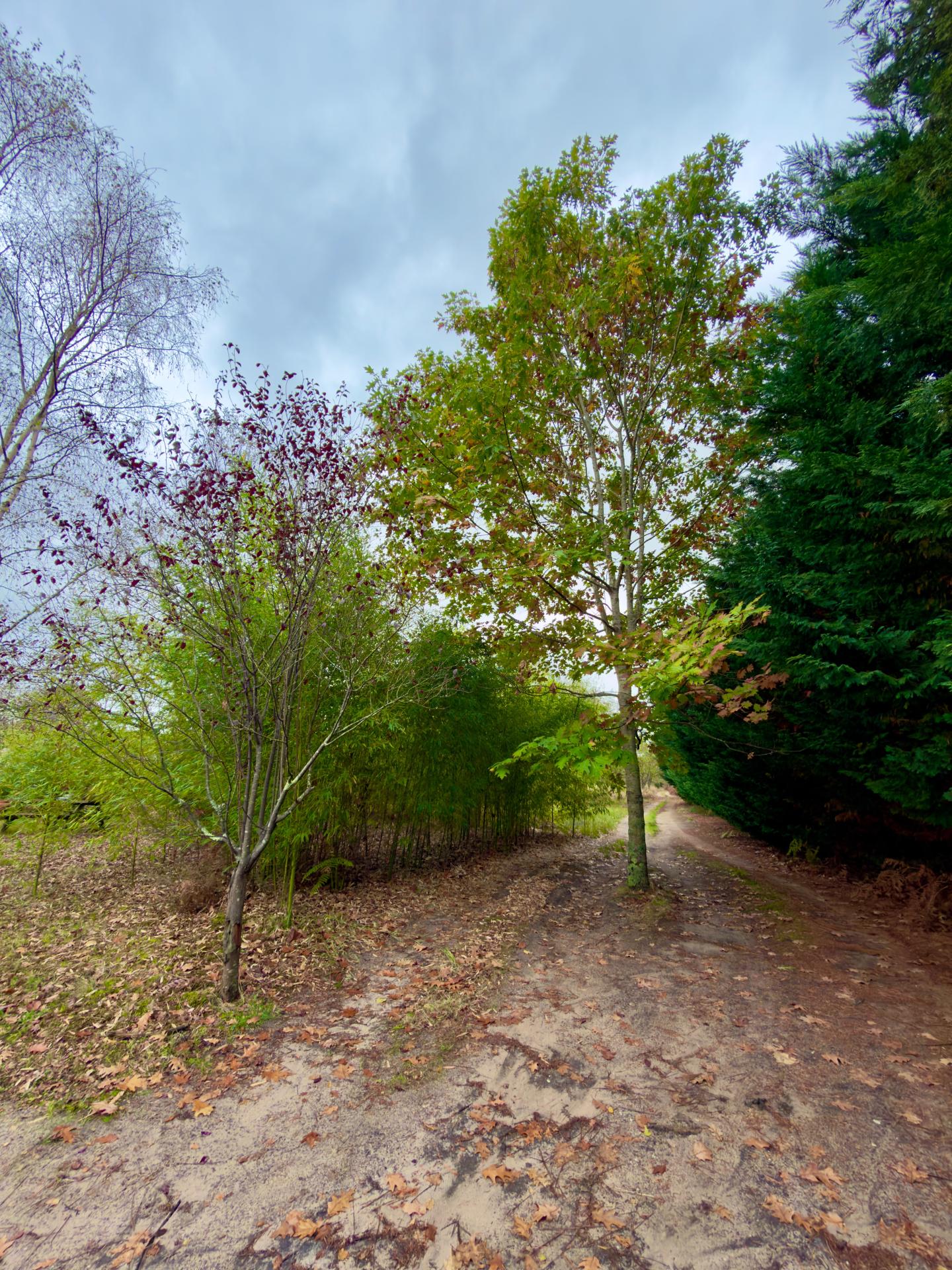 Photo 2 de l'annonce.