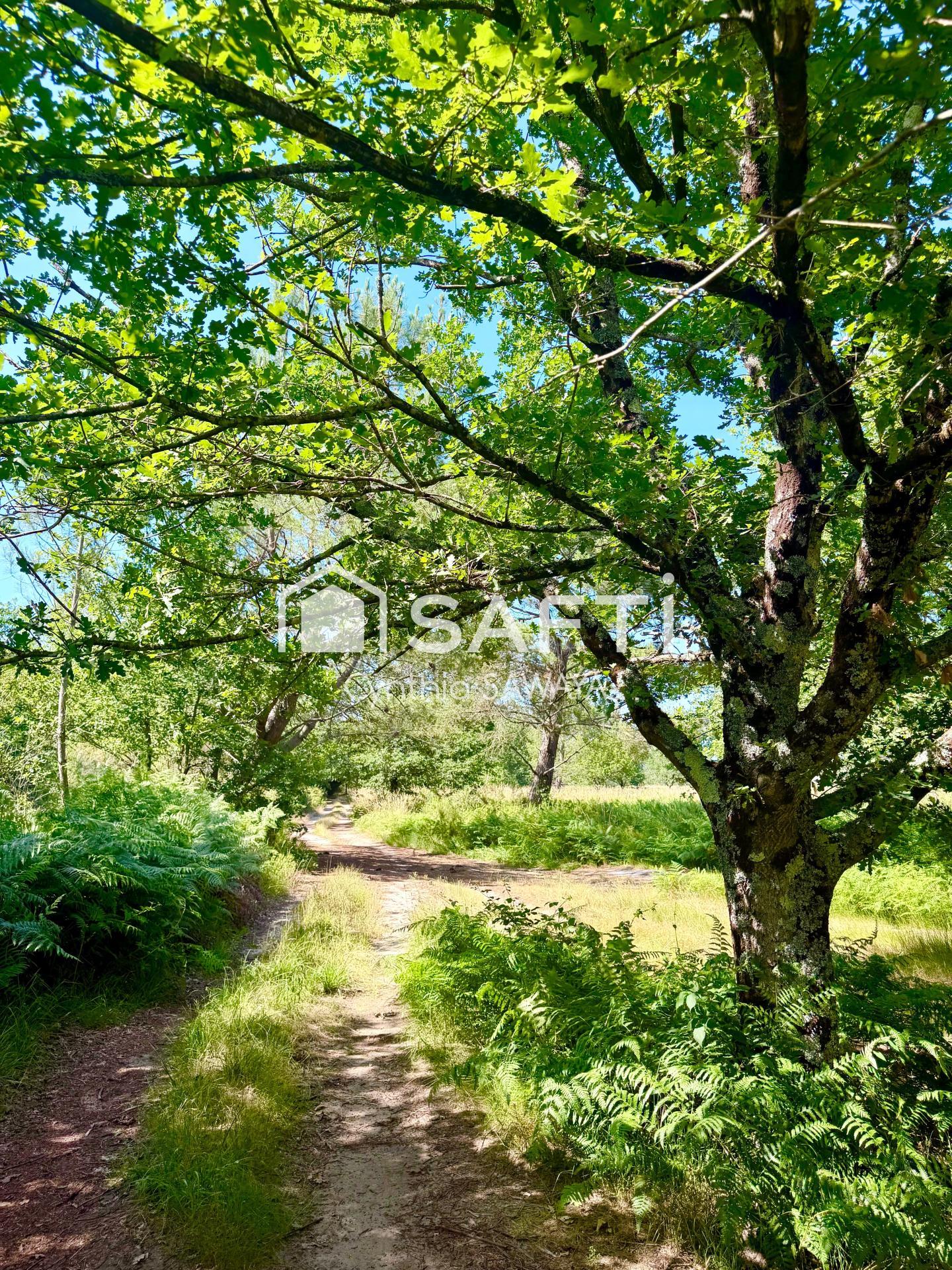 Photo-terrain