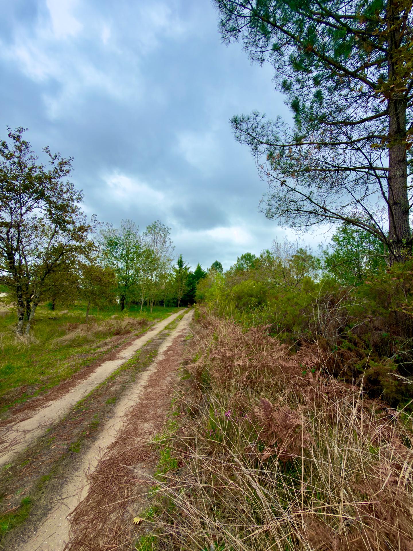 Photo 3 de l'annonce.