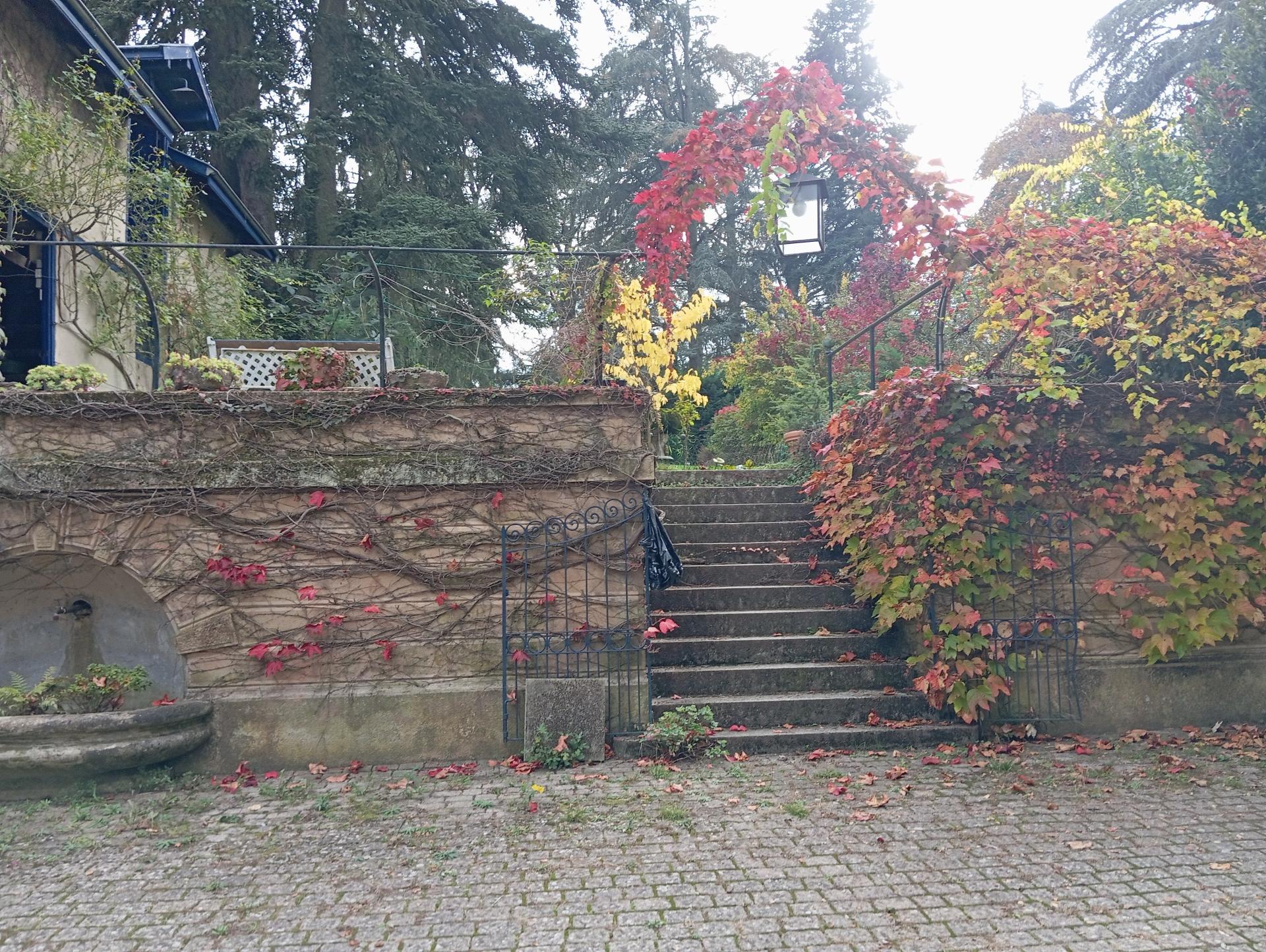 Photo 2 de l'annonce.