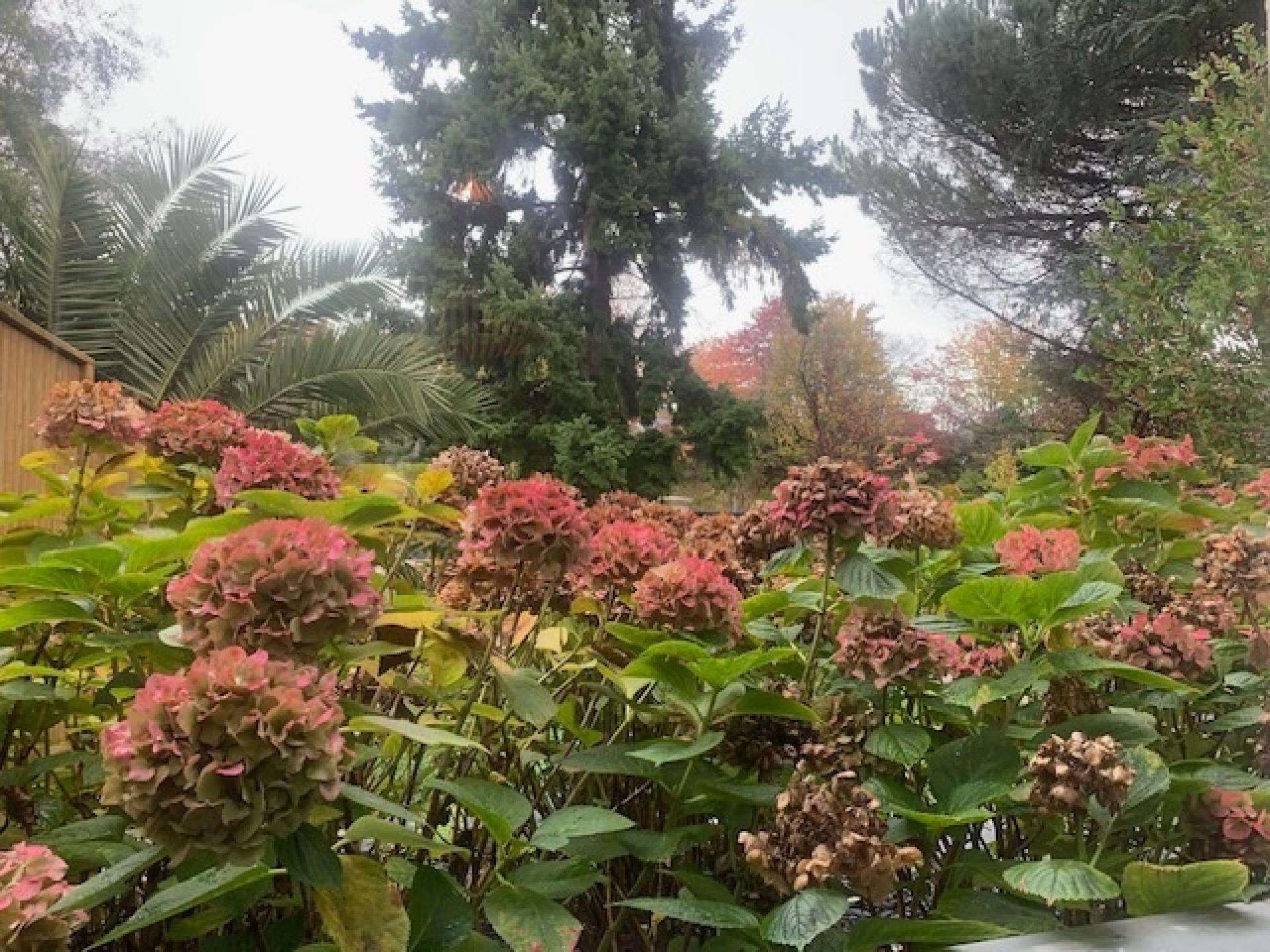 Photo 3 de l'annonce.