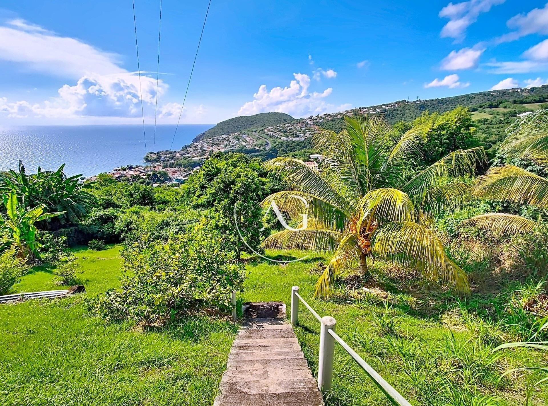 Photo 10 de l'annonce.