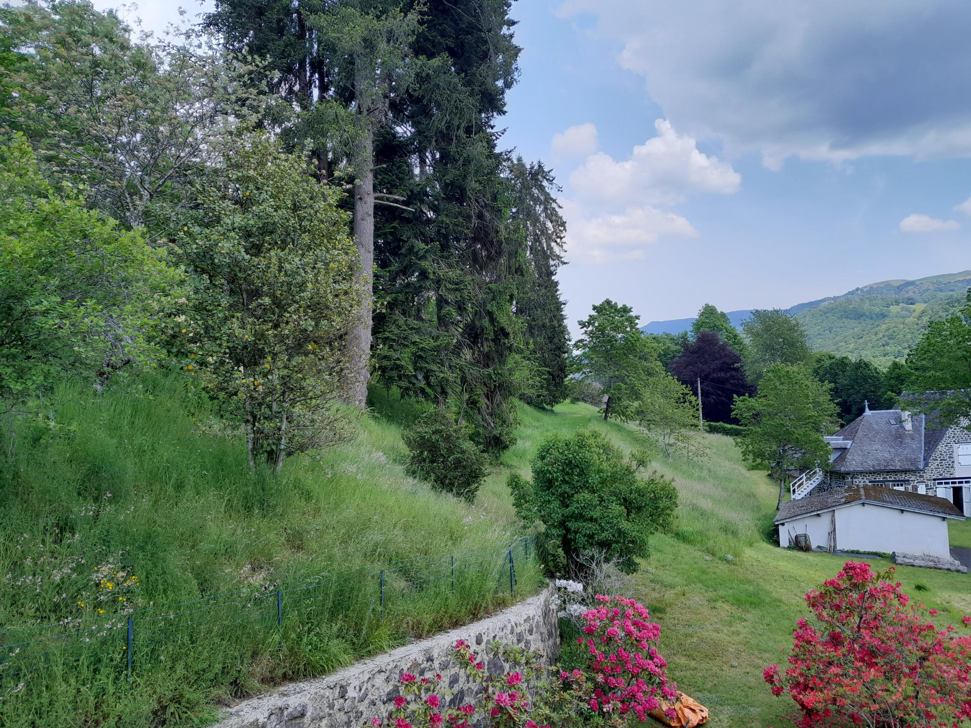 Photo 18 de l'annonce.