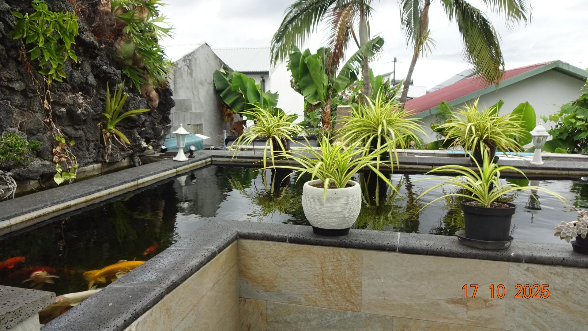 Photo 3 de l'annonce.