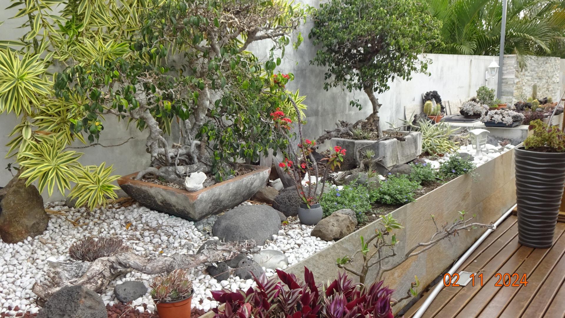 Photo 4 de l'annonce.