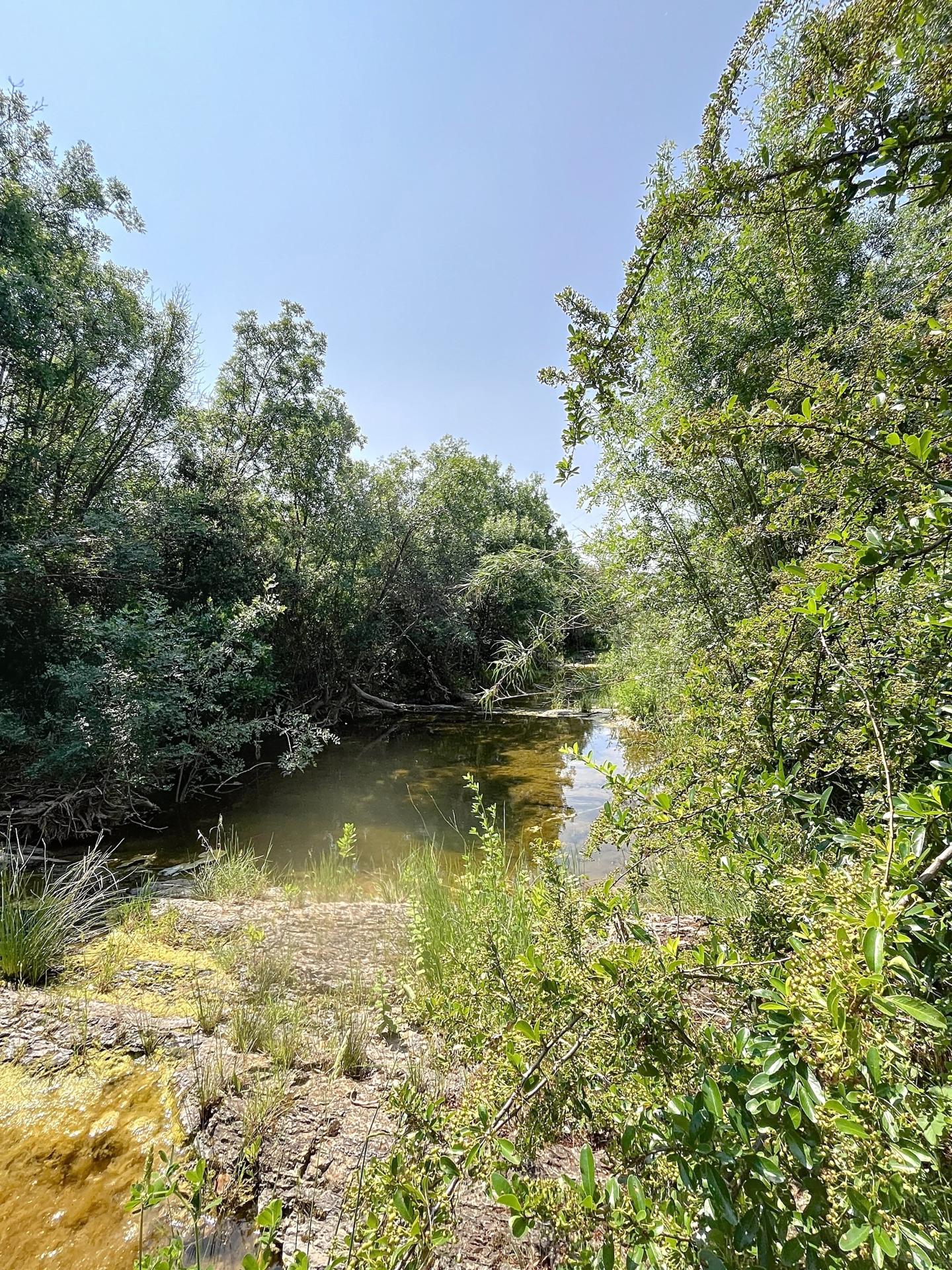 Foto 15 del anuncio.