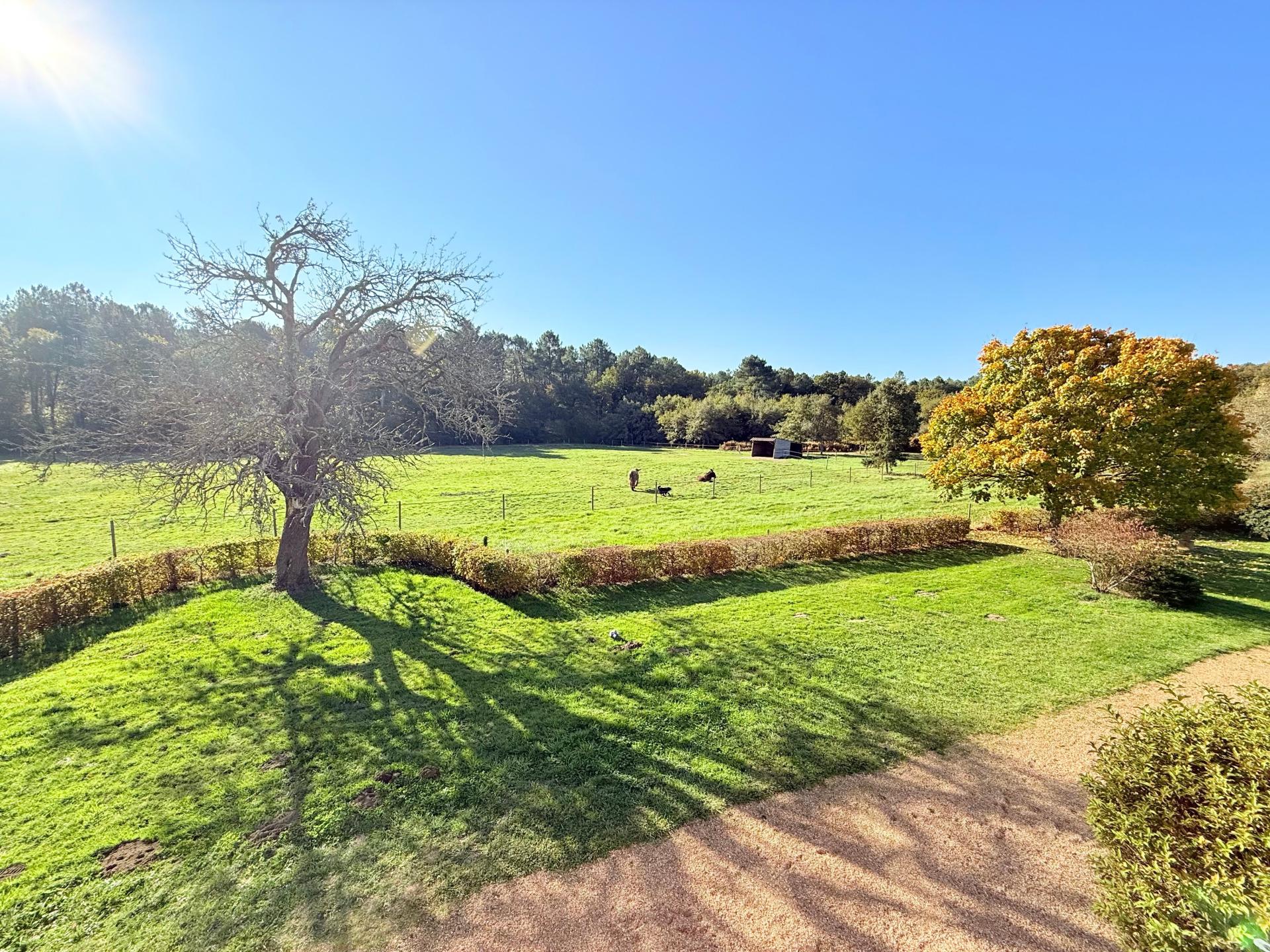 Photo 5 de l'annonce.