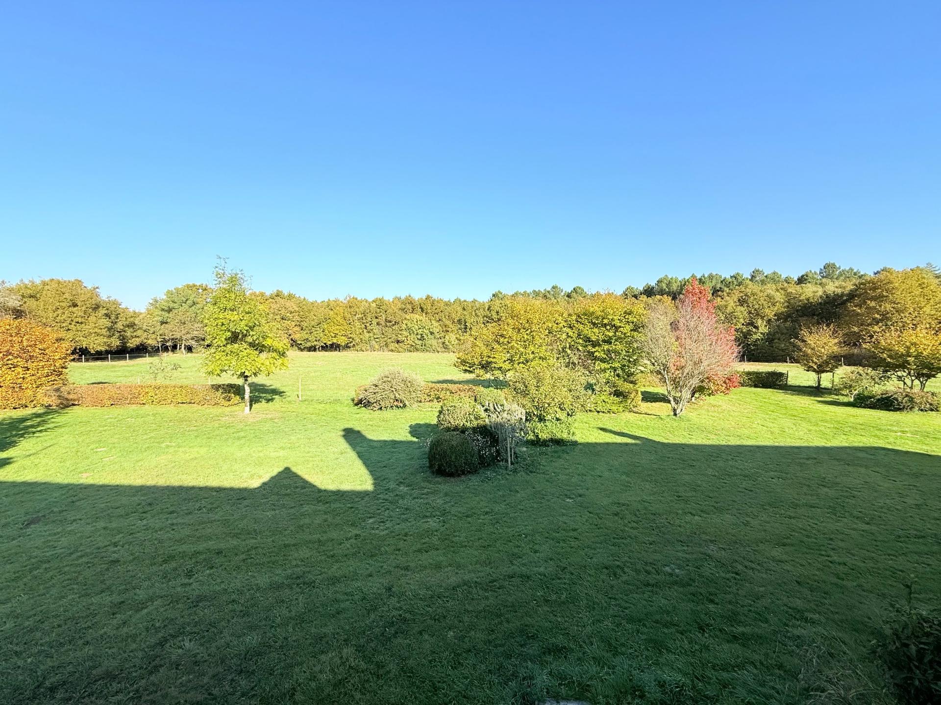 Photo 6 de l'annonce.