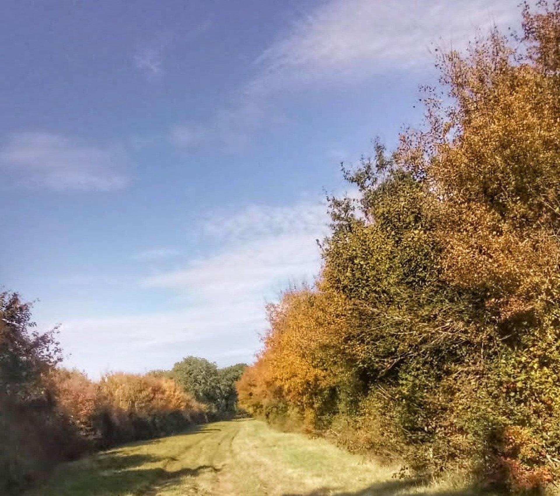 Photographie descriptive du bien