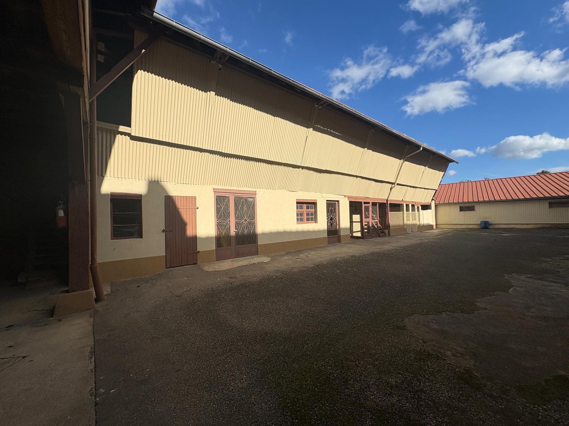 Photo 3 de l'annonce.