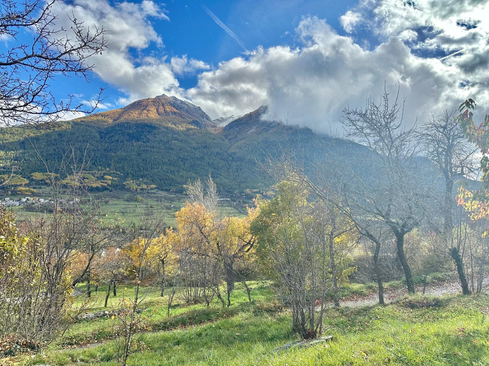 Photo 6 de l'annonce.