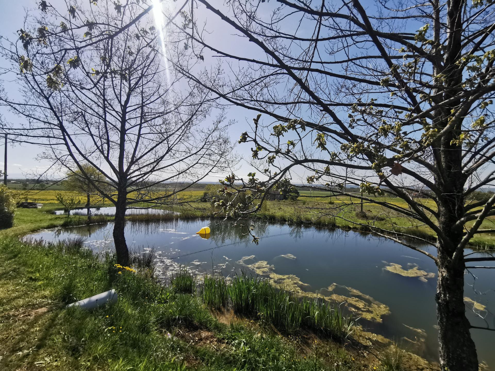 Photo 13 de l'annonce.