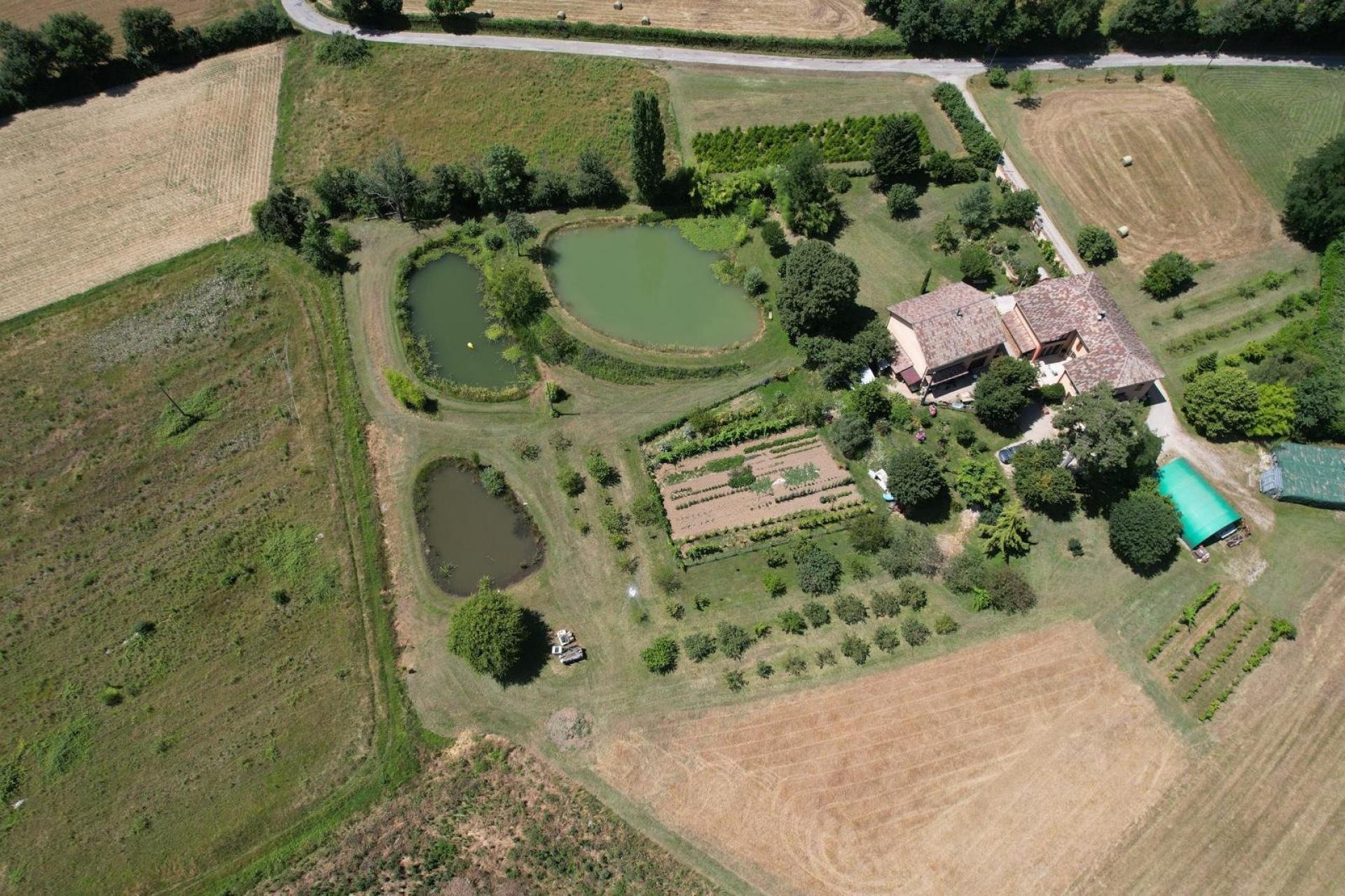 Photo 10 de l'annonce.