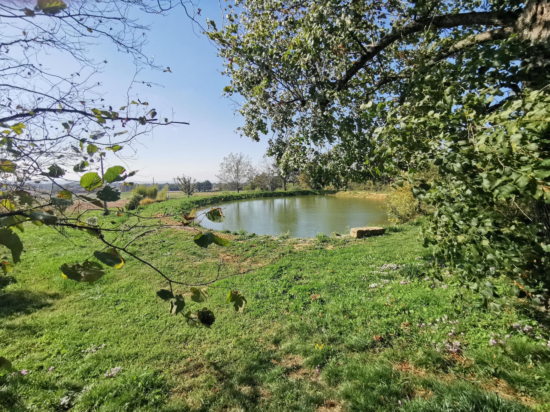 Photo 12 de l'annonce.