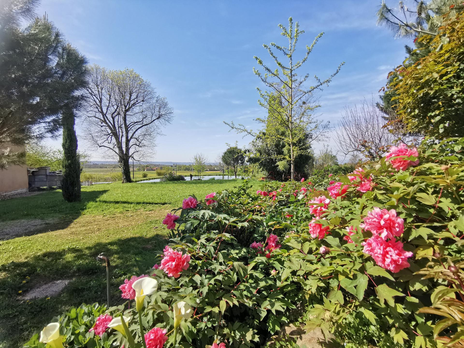 Photo 11 de l'annonce.