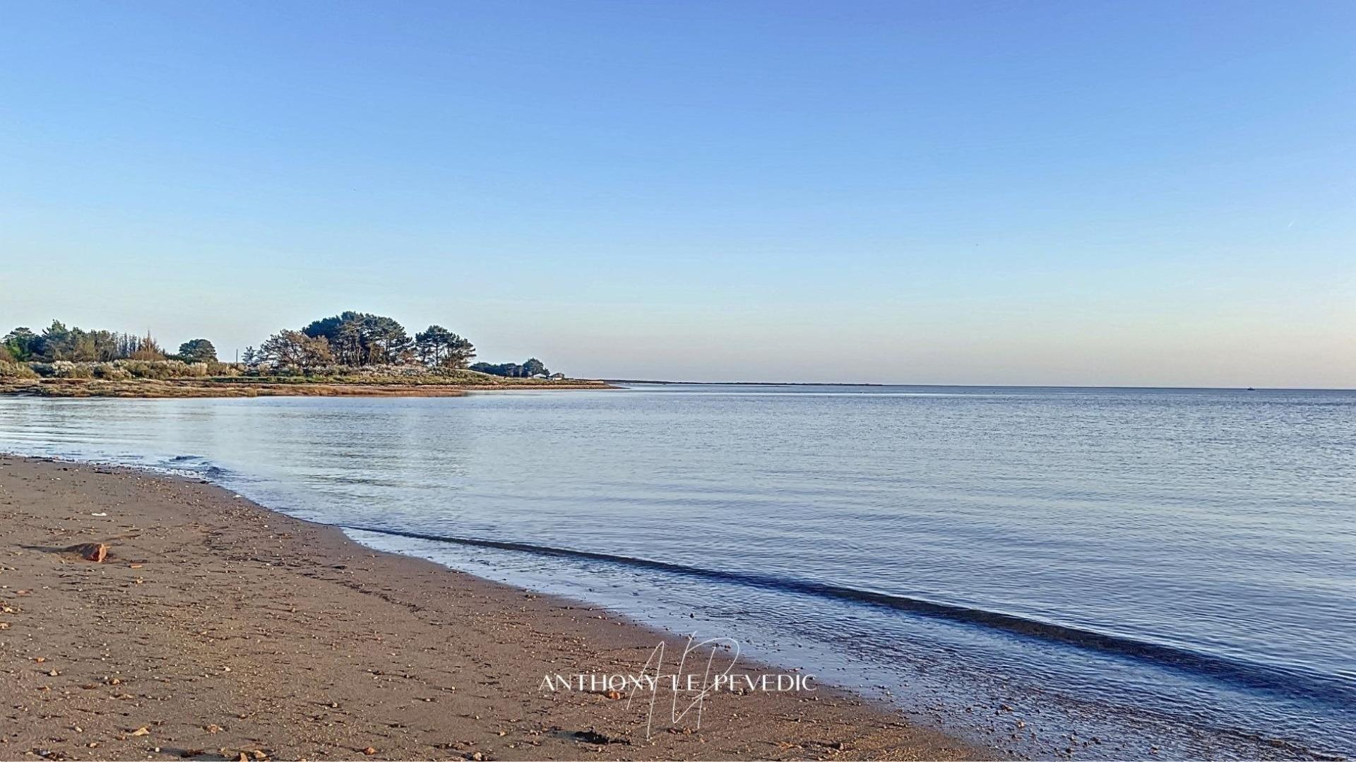 Photo 18 of the listing.