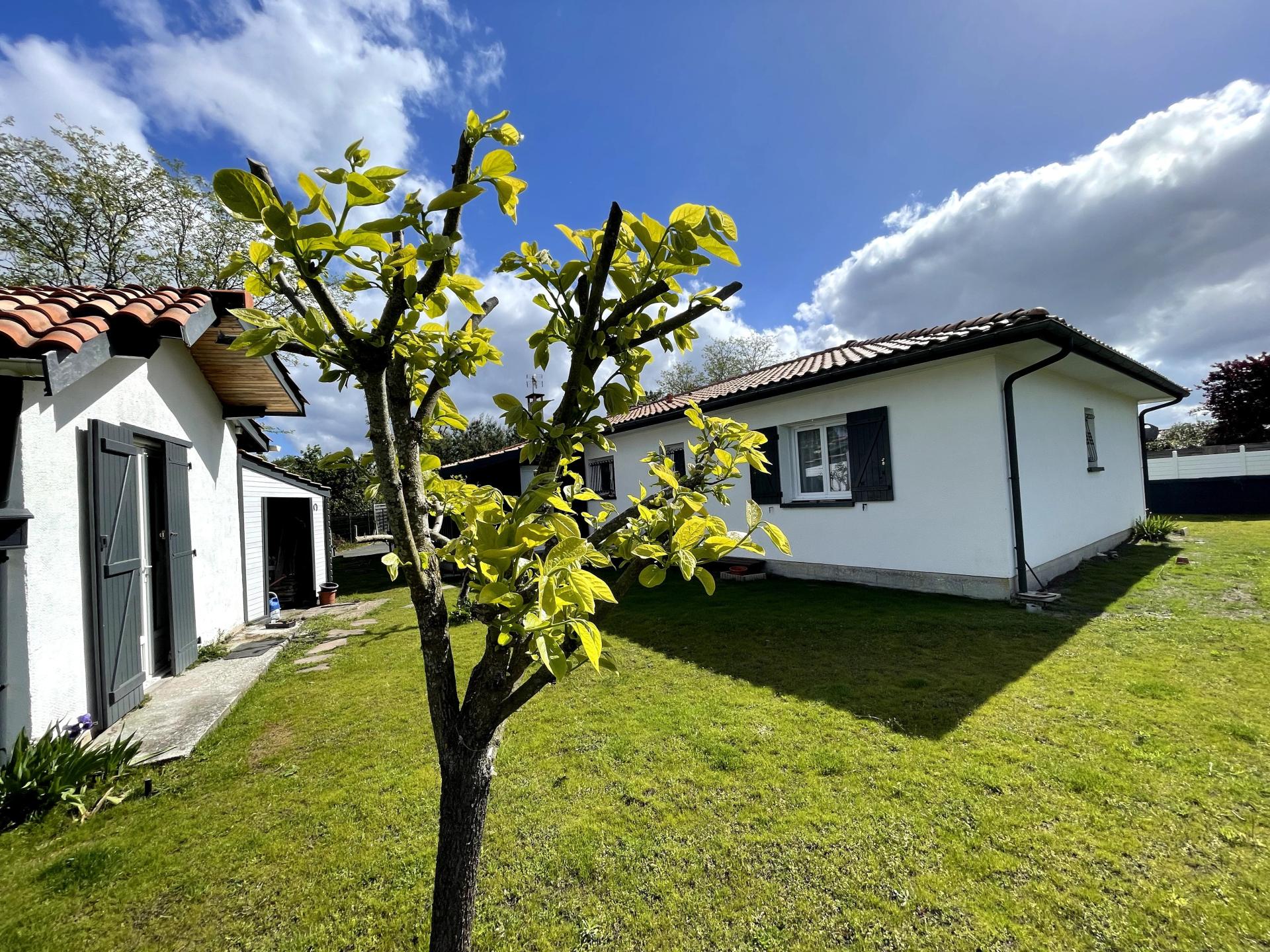 Photo 7 of the listing.