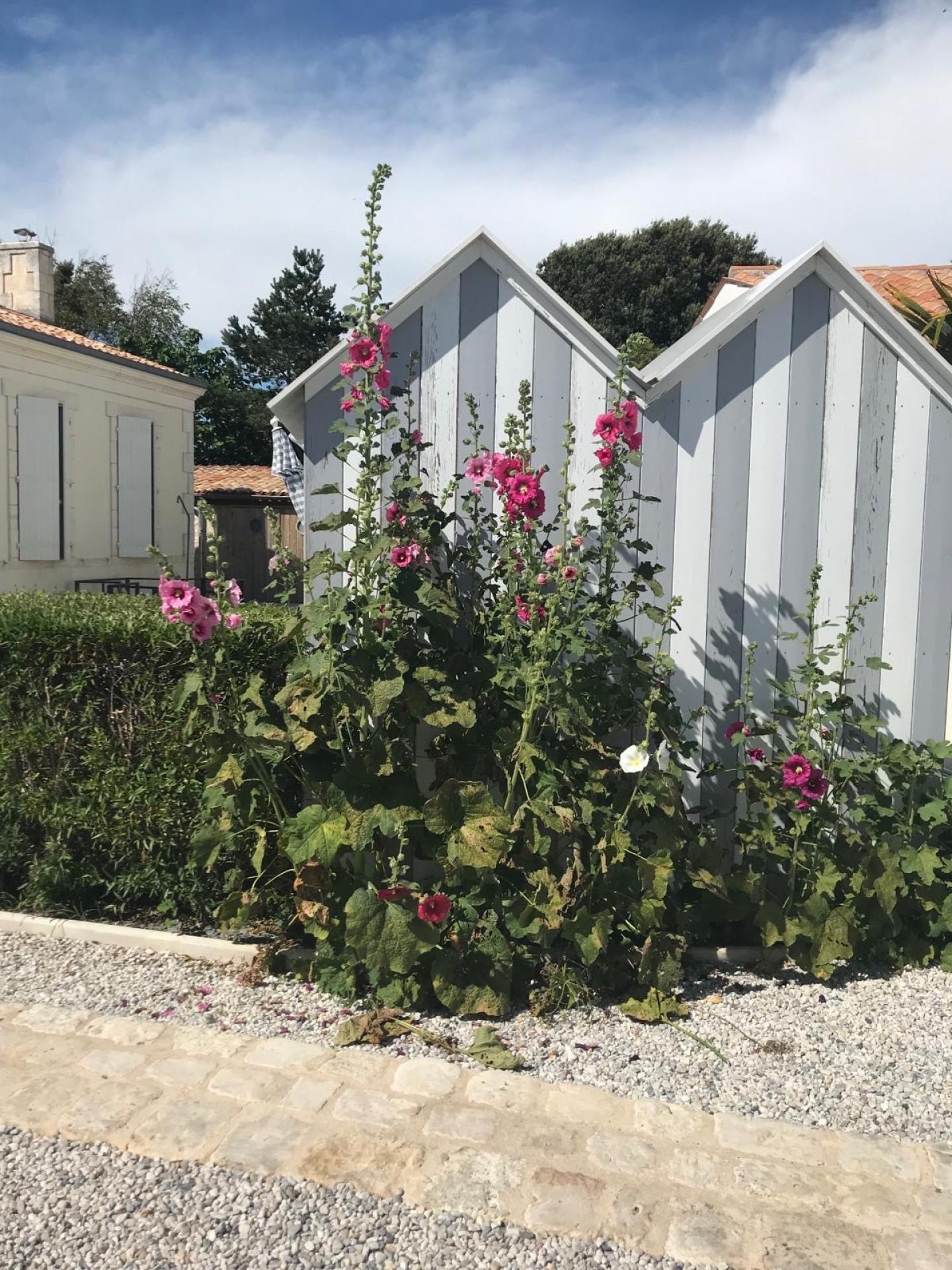 Photo 5 of the listing.