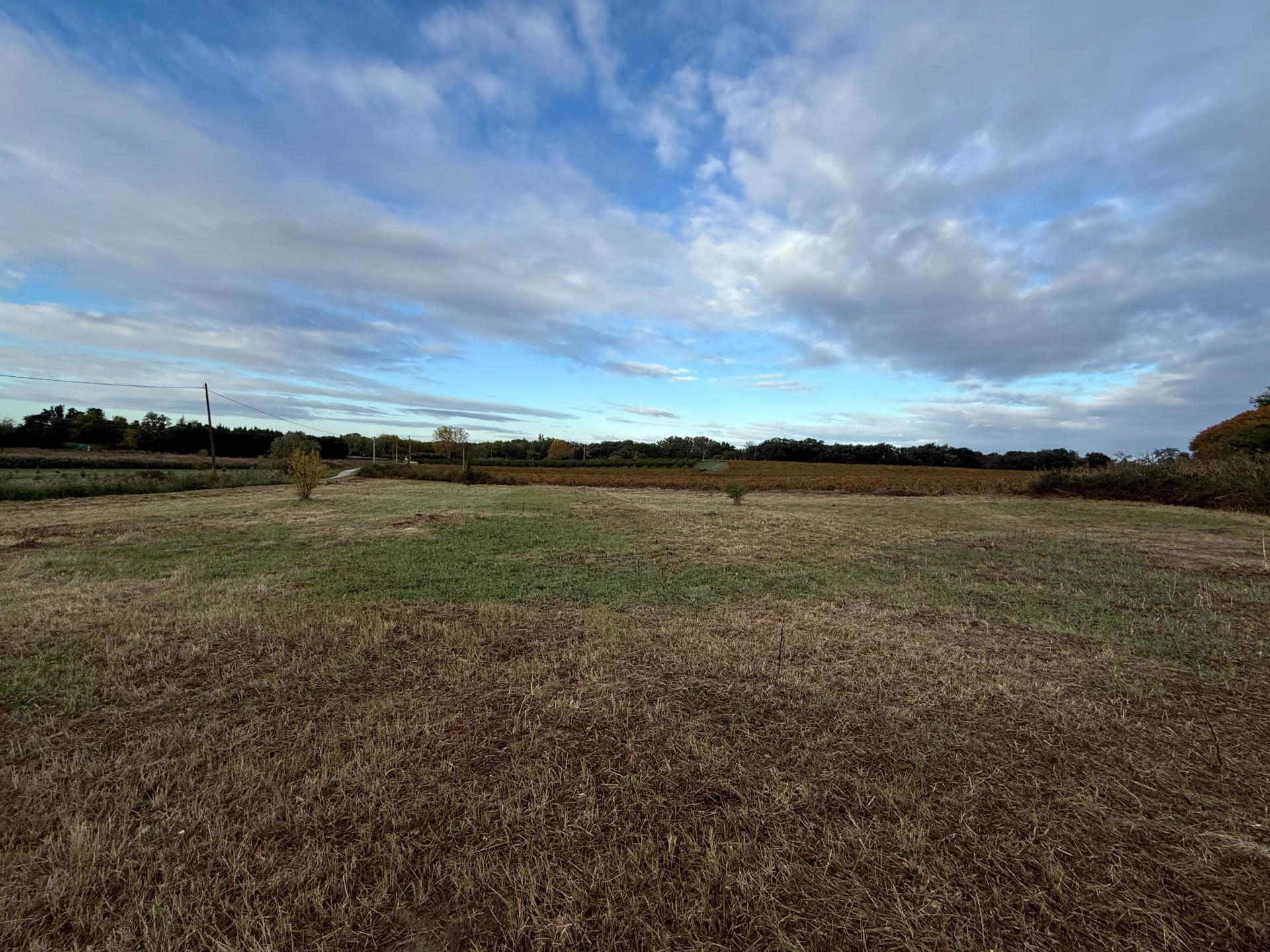 Photo 6 of the listing.